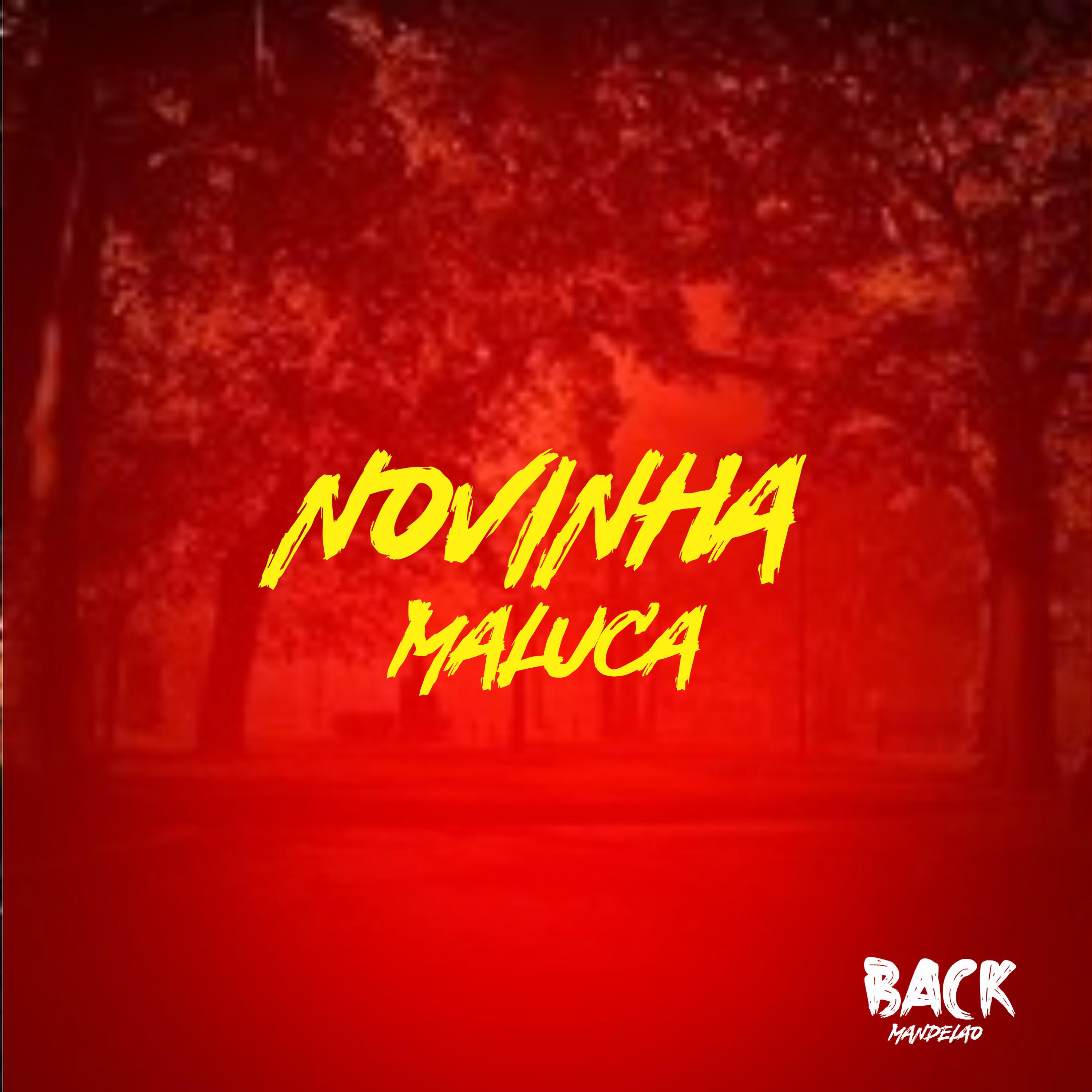 Постер альбома Novinha Maluca