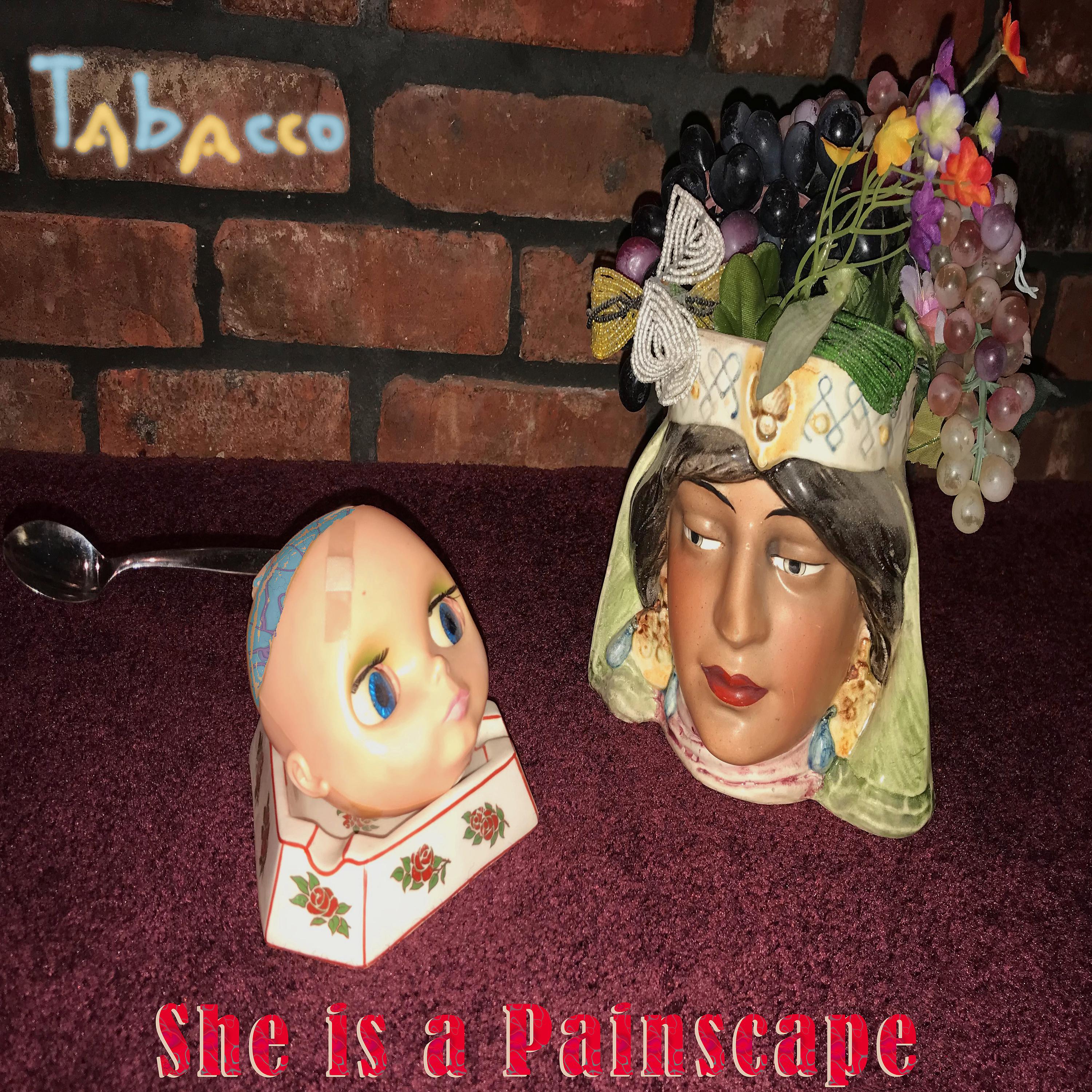 Постер альбома She is a Painscape