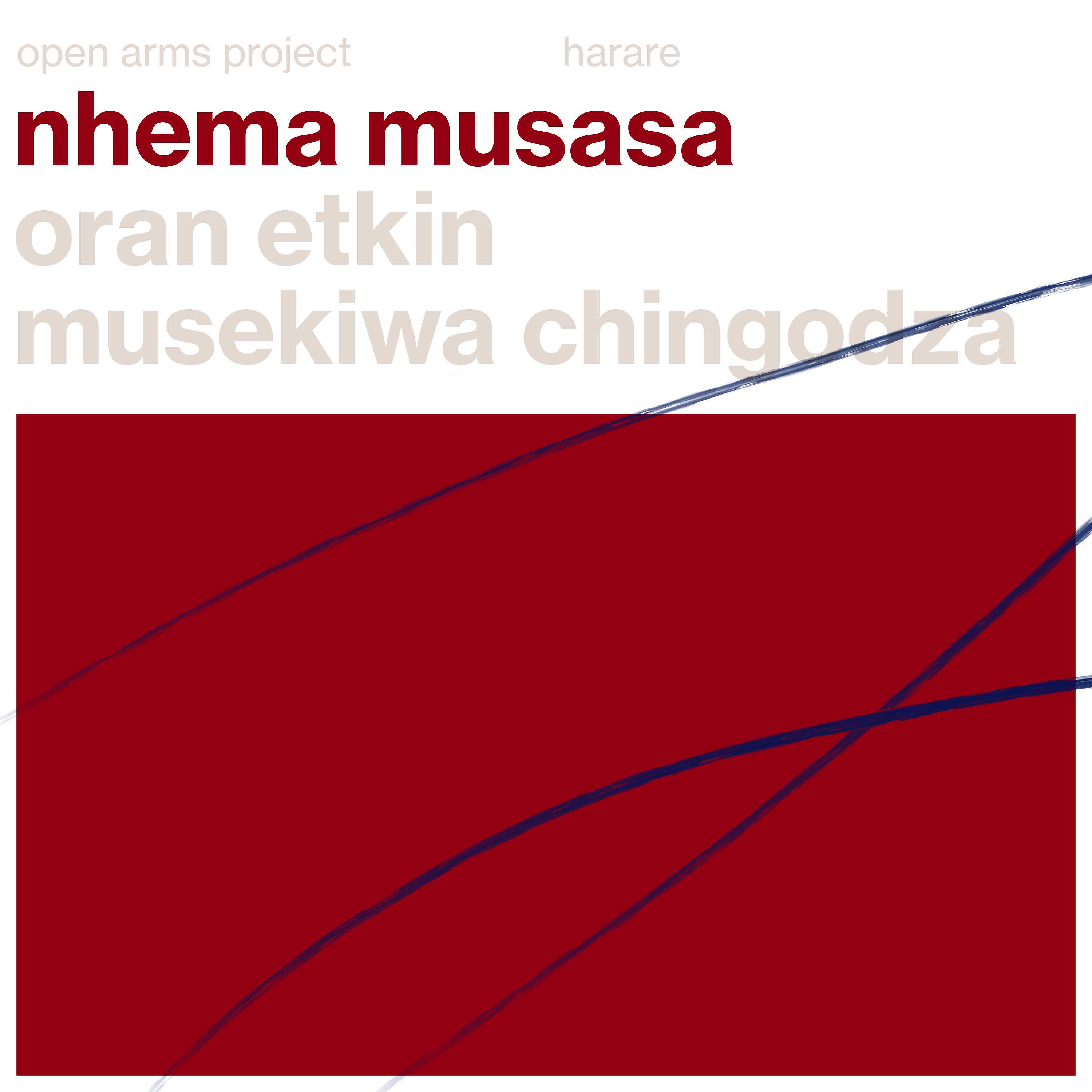 Постер альбома Nhema Musasa
