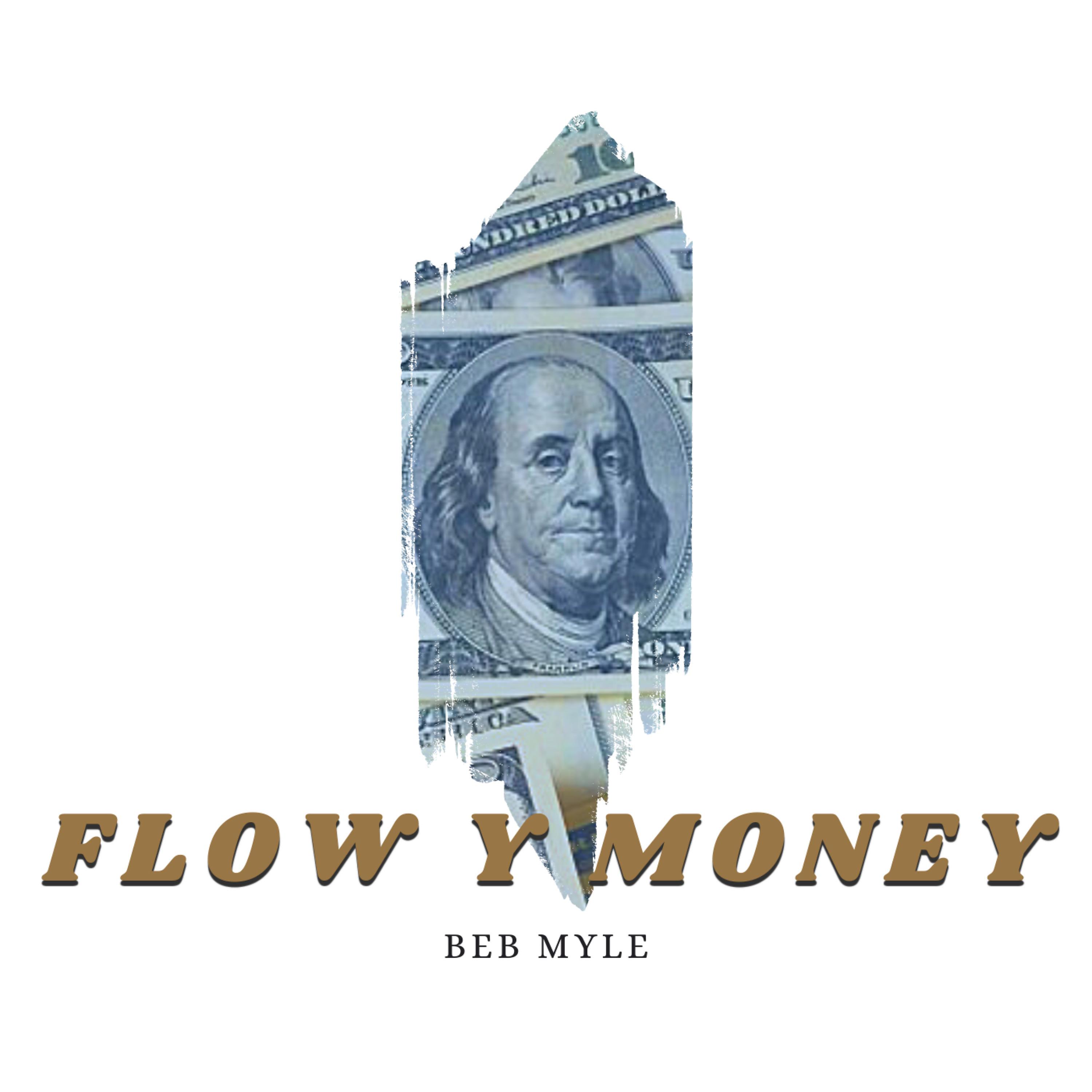 Постер альбома Flow y Money