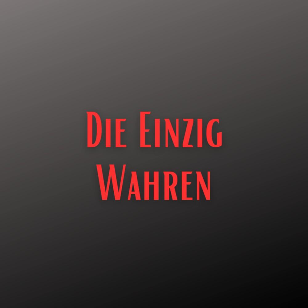 Постер альбома Die Einzig Wahren (Pastiche/Remix/Mashup)