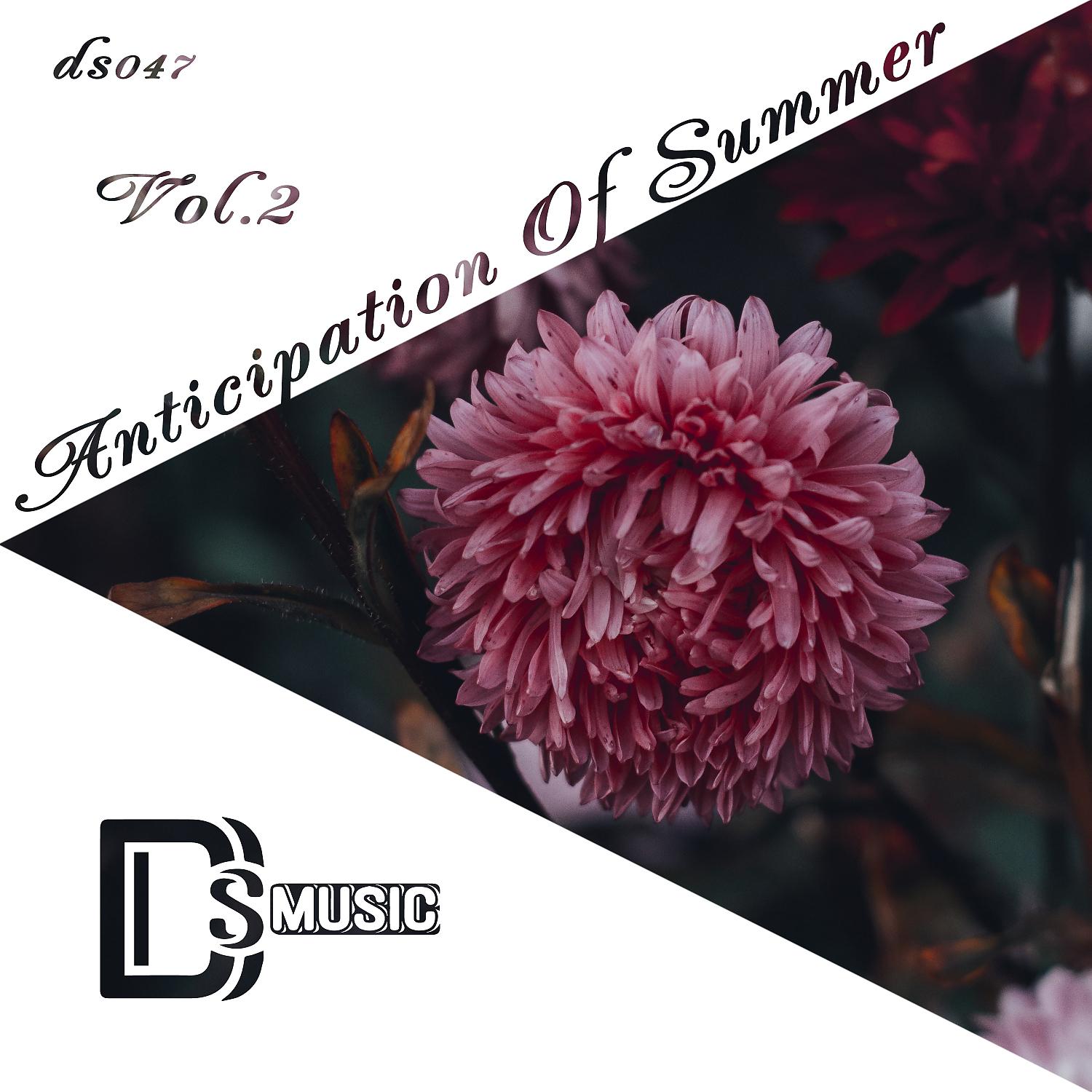 Постер альбома Anticipation of Summer, Vol.2