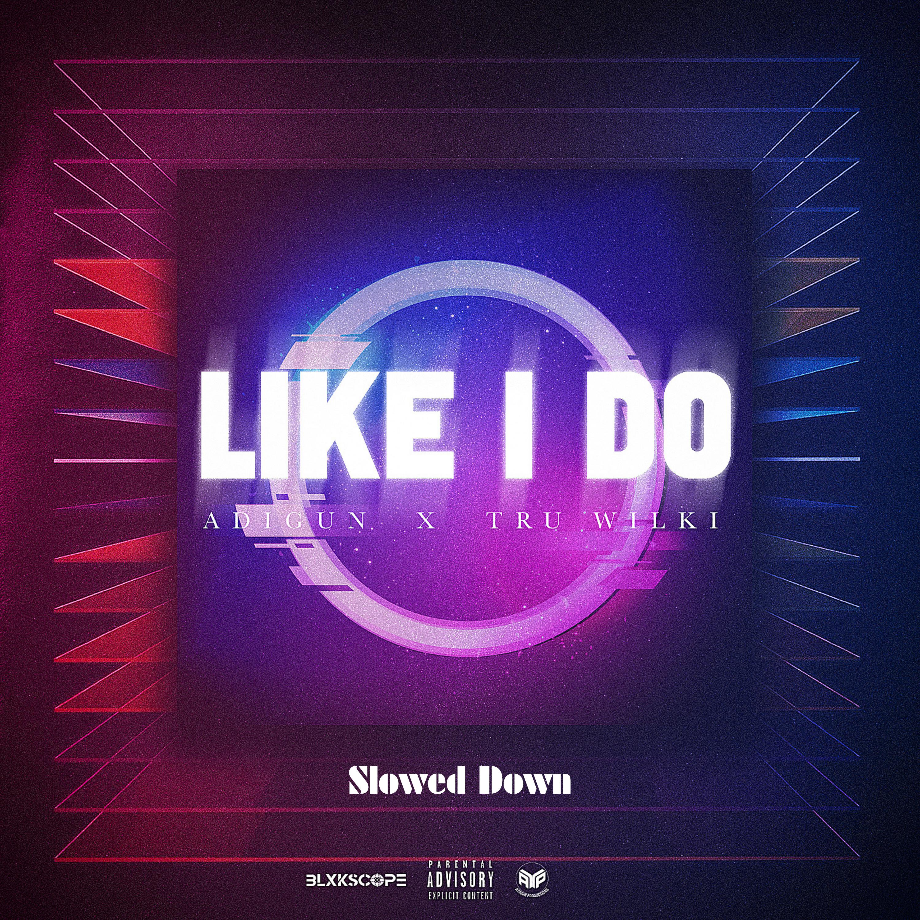 Постер альбома Like I Do (Slowed Down)