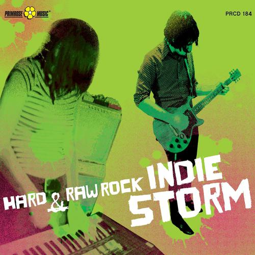 Постер альбома Indie Storm