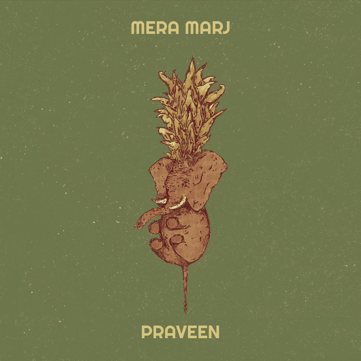 Постер альбома Mera Marj