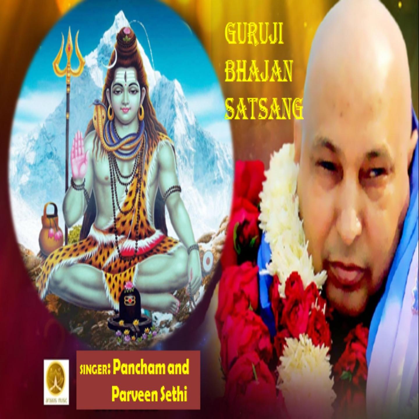 Постер альбома Guruji Bhajan Satsang