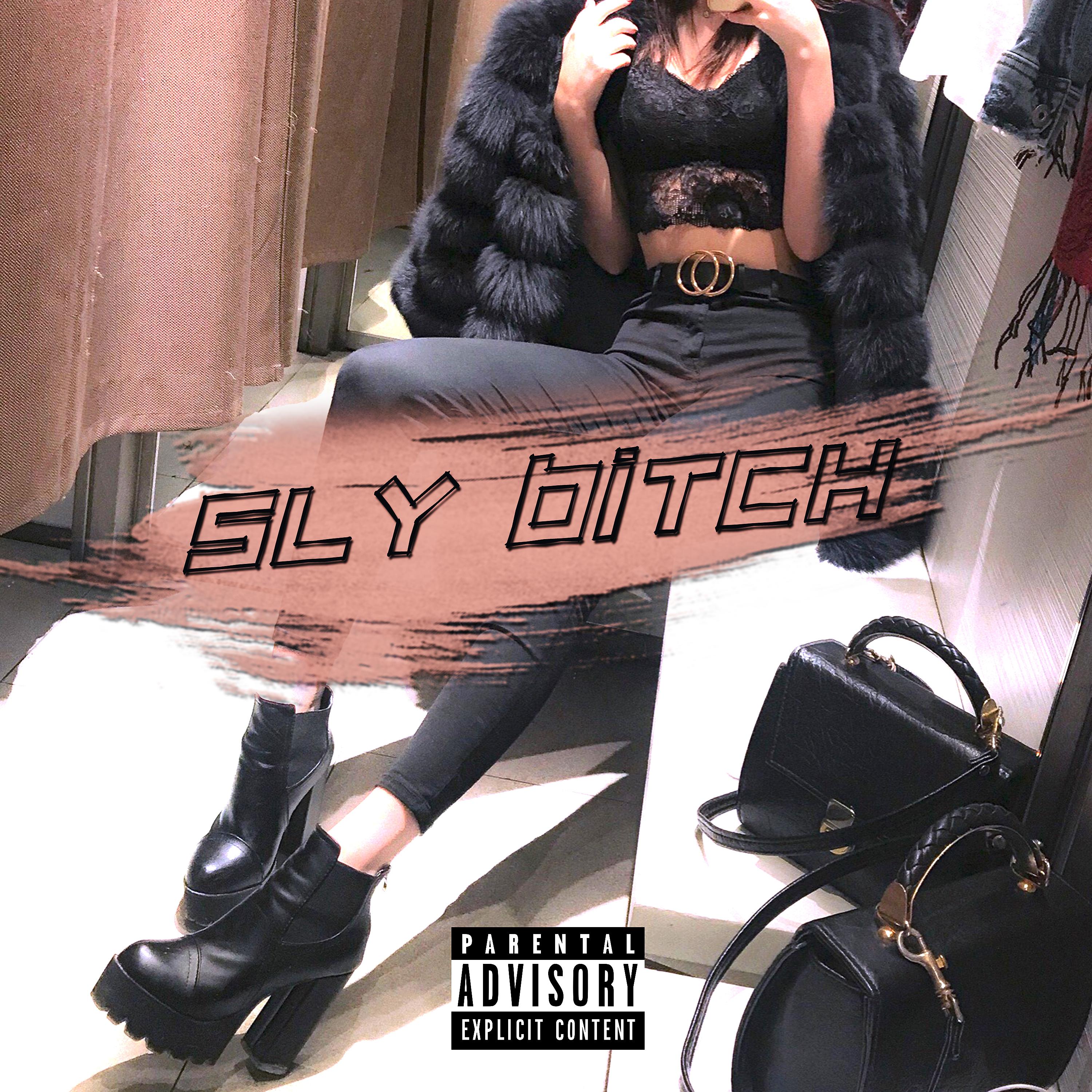Постер альбома Sly Bitch