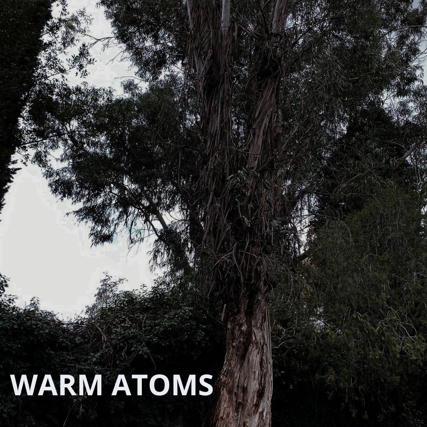Постер альбома Warm Atoms