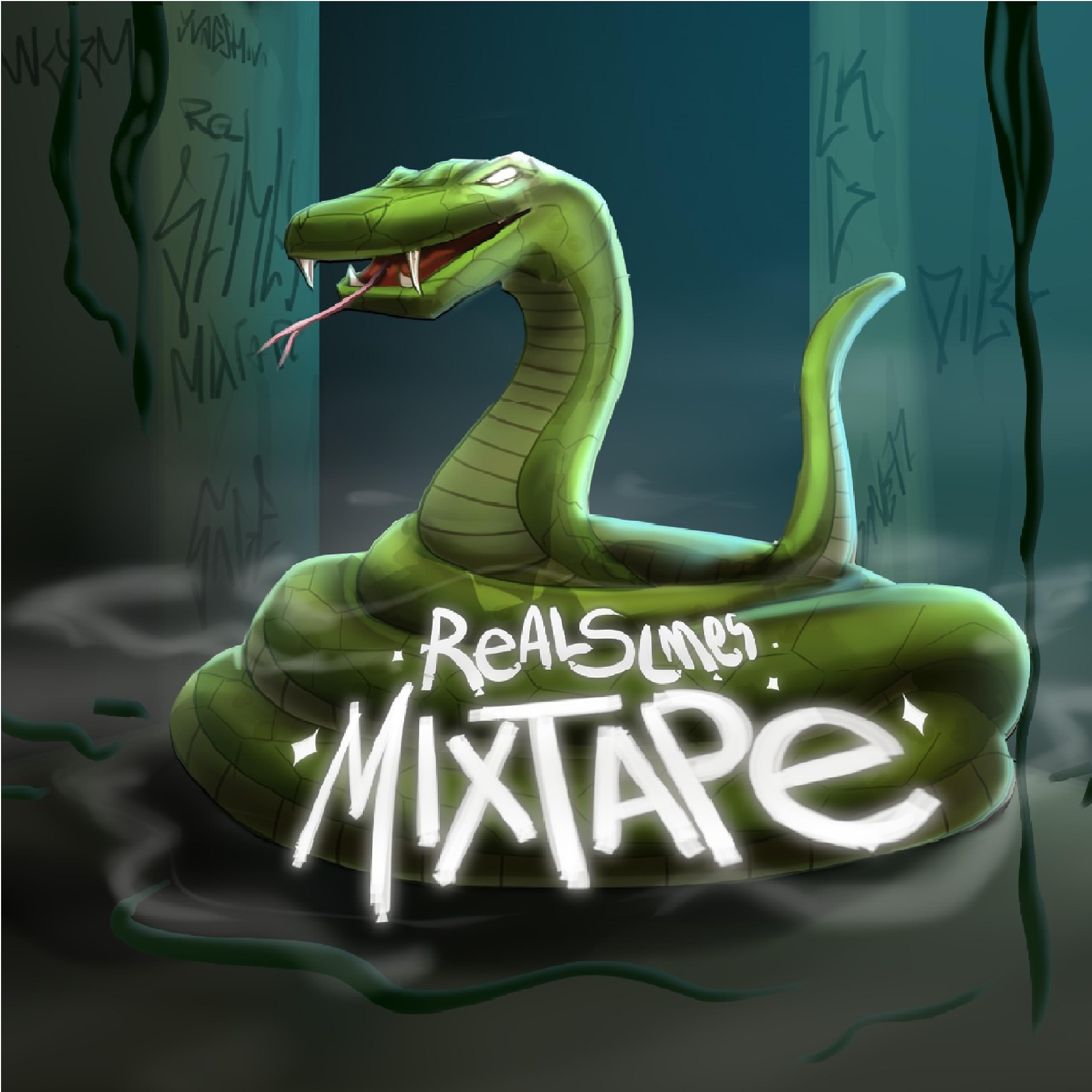 Постер альбома Real Slimes Mixtape