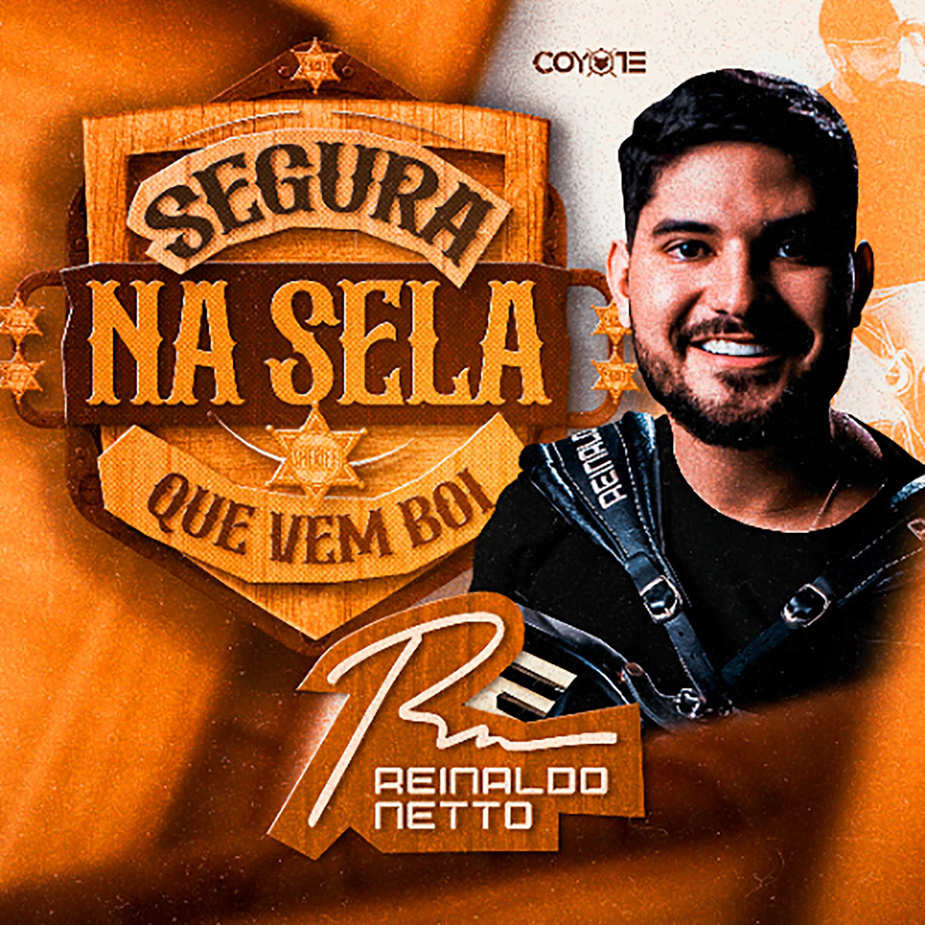 Постер альбома Segura na Sela Que Vem Boi