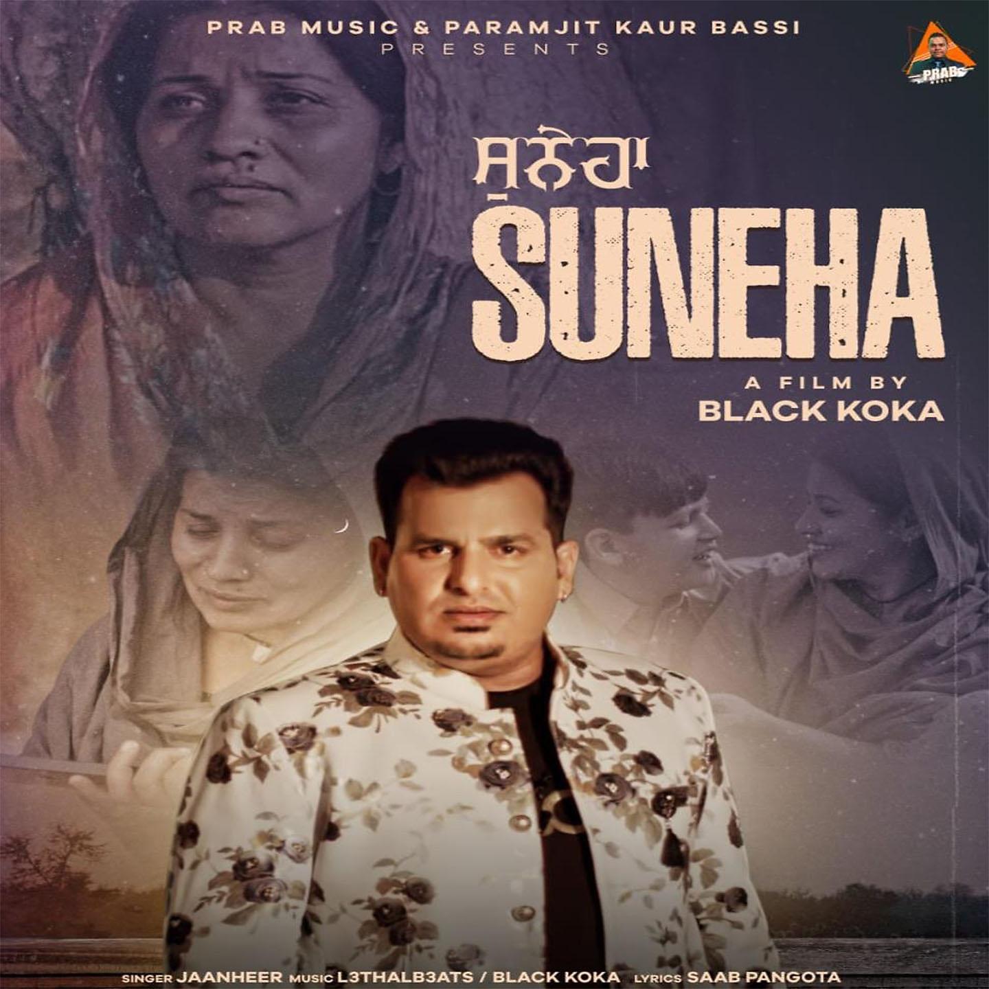 Постер альбома Suneha