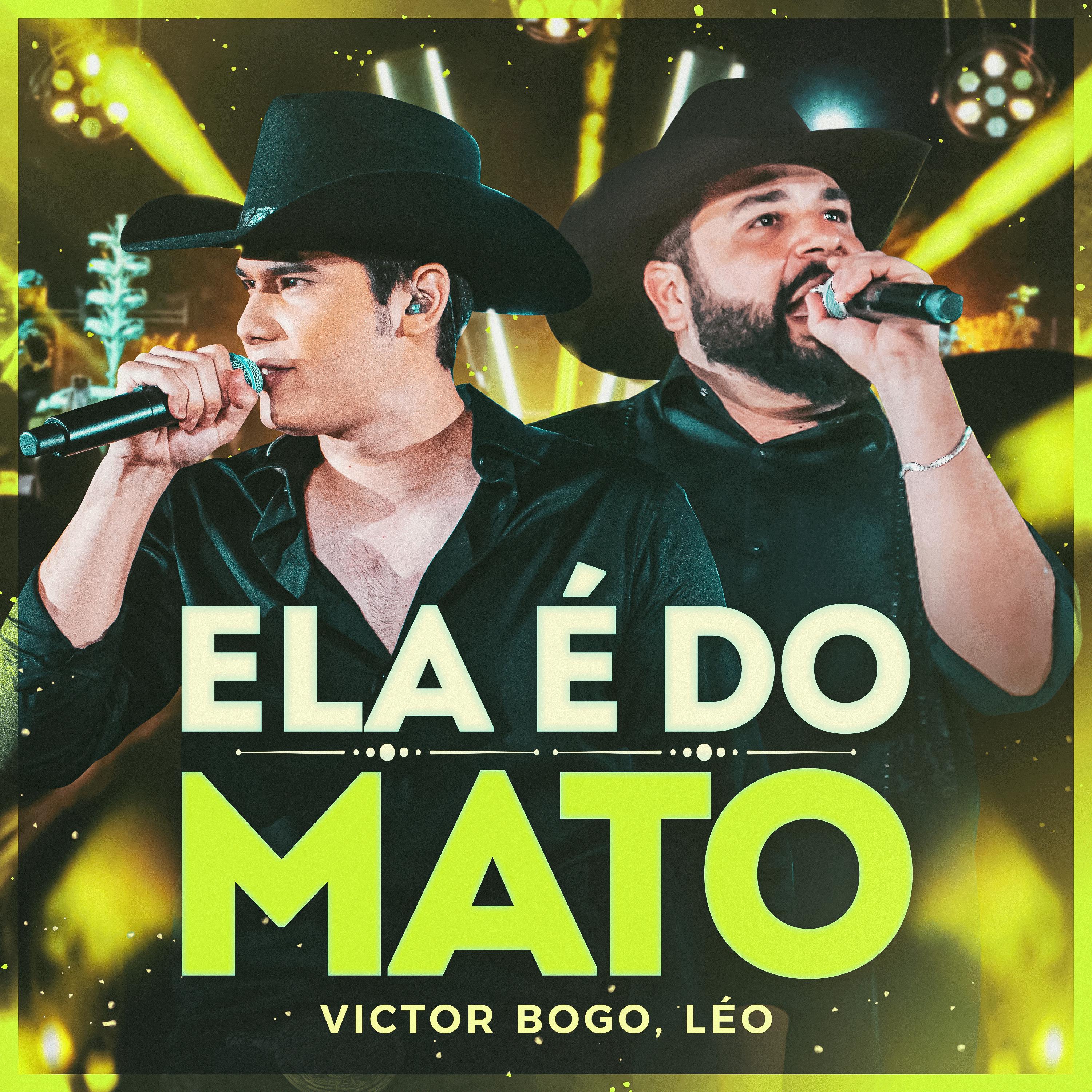 Постер альбома Ela É do Mato