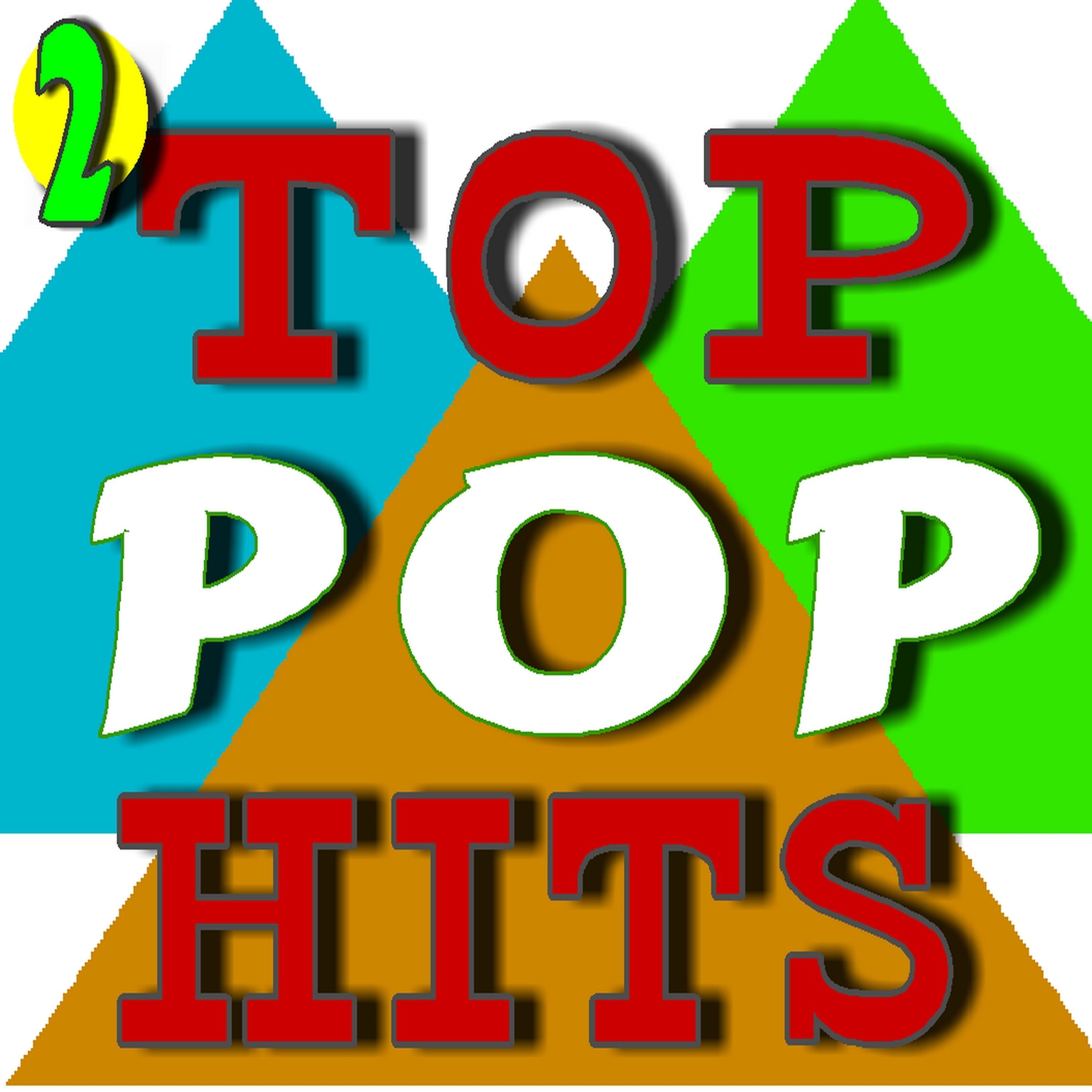 Постер альбома Top Pop Hits, Vol. 2 (Instrumental)