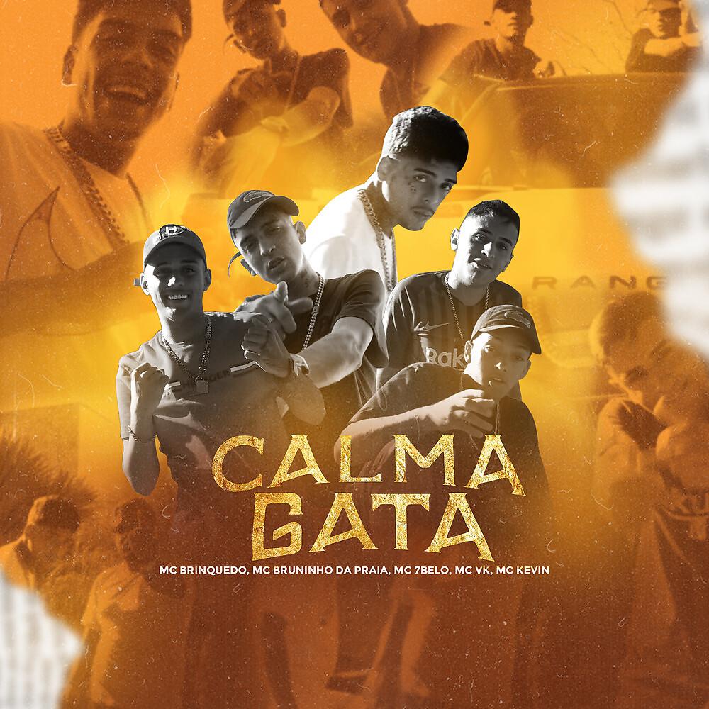 Постер альбома Calma Gata