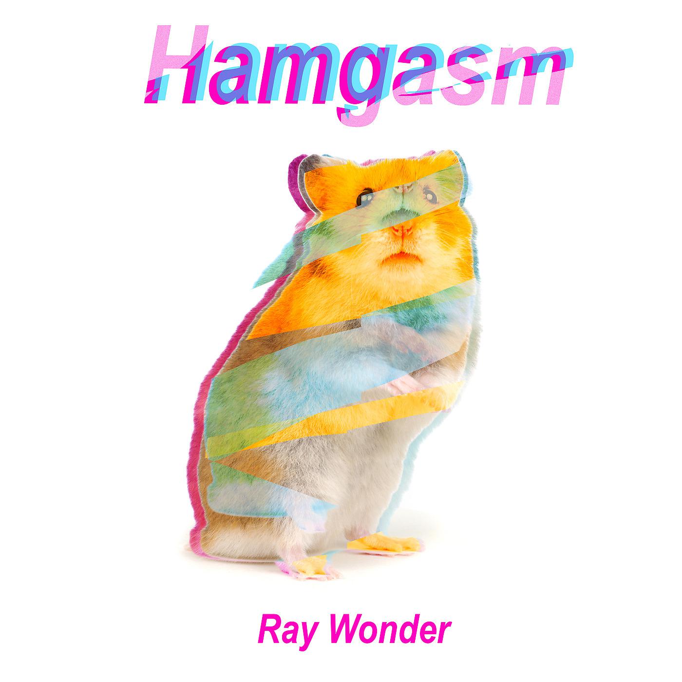 Постер альбома Hamgasm