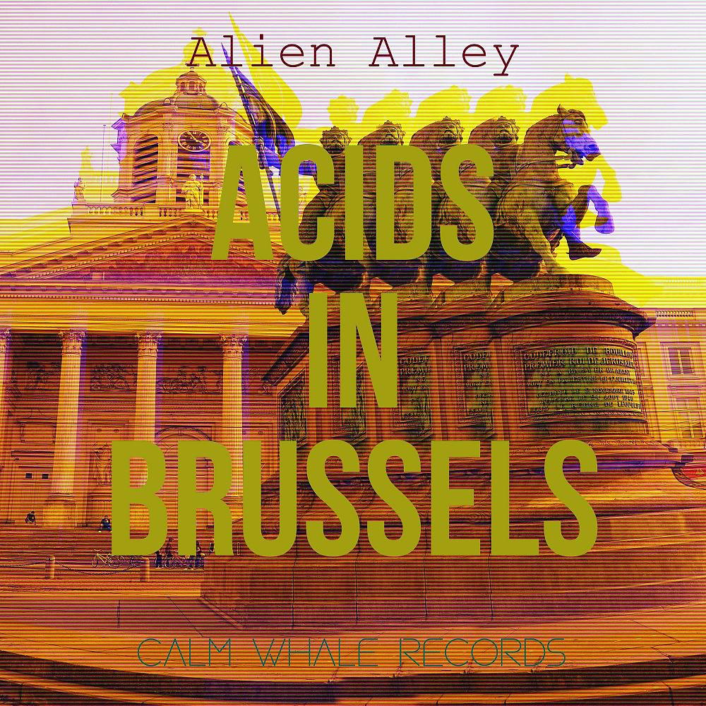 Постер альбома Acids in Brussels