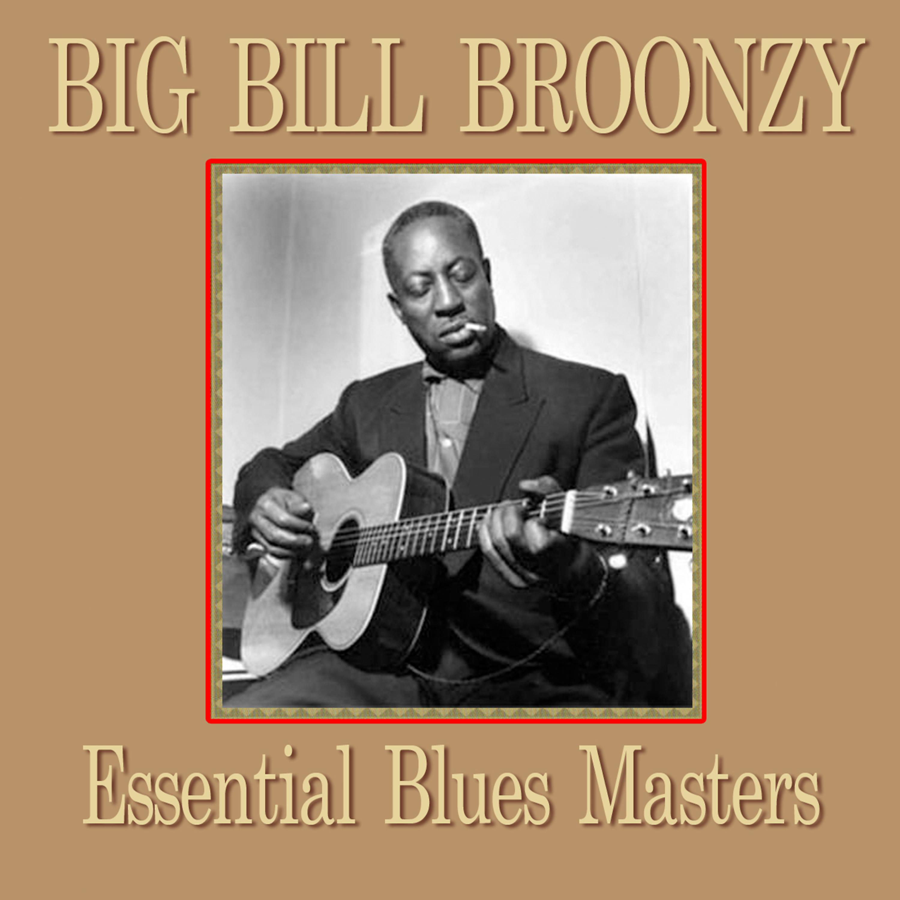 Постер альбома Essential Blues Masters