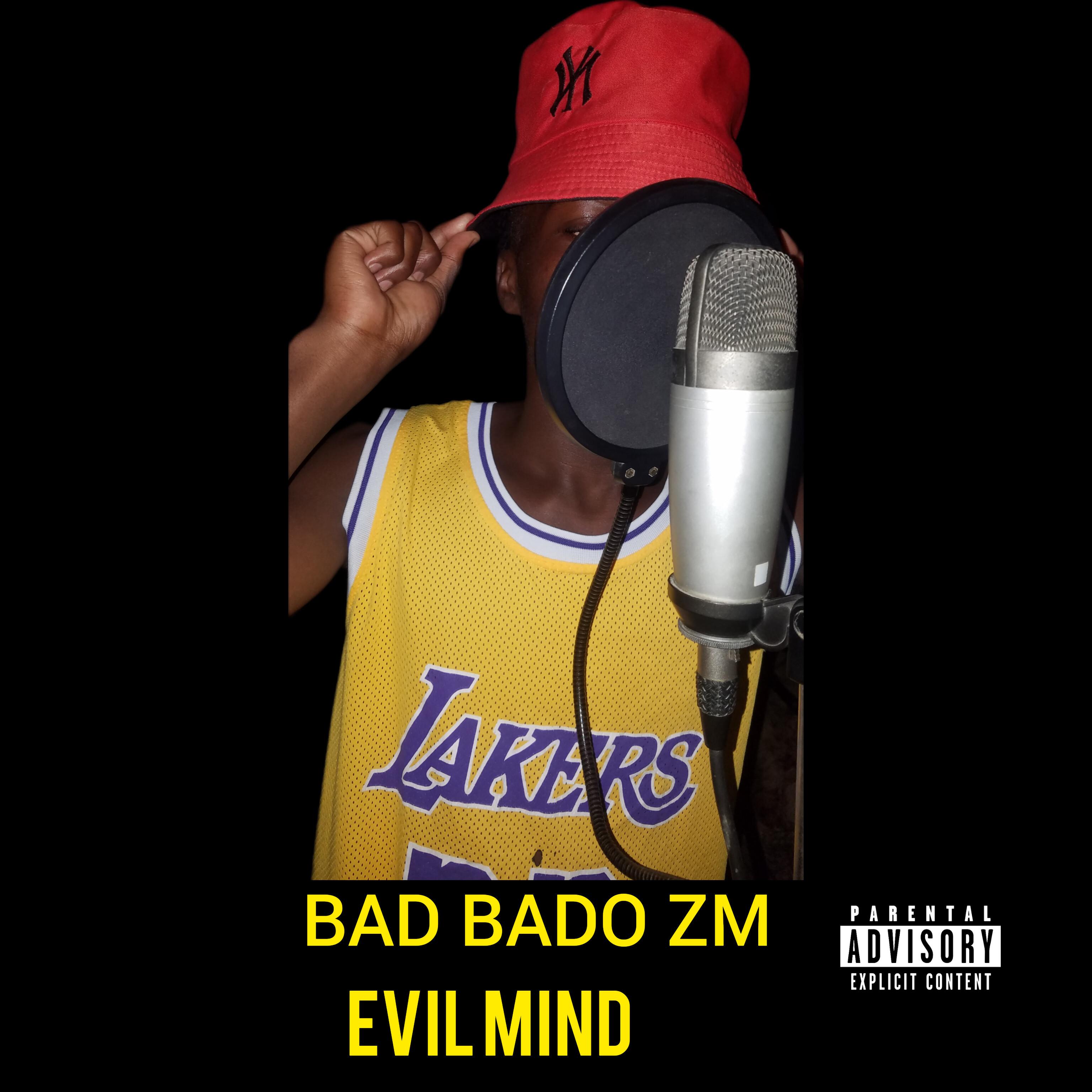 Постер альбома Evil Mind
