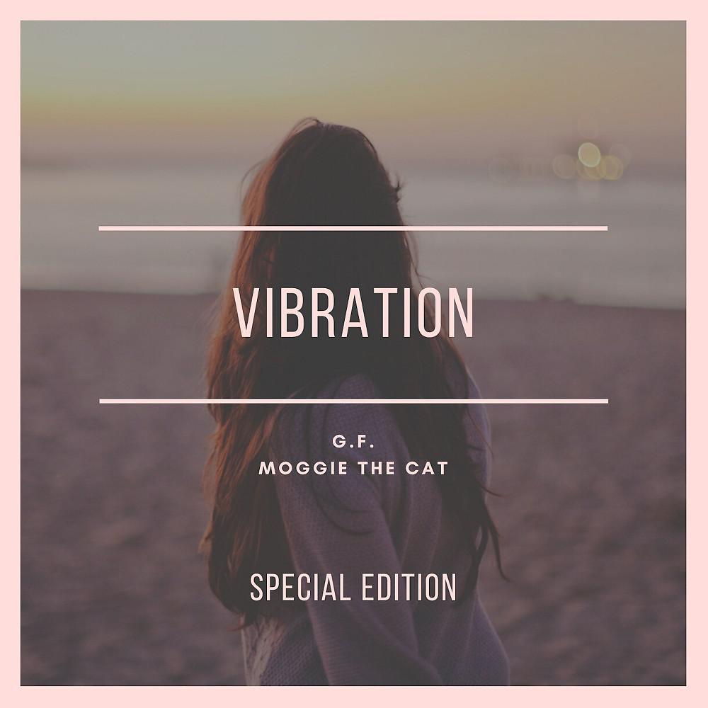 Постер альбома Vibration (Special Edition)