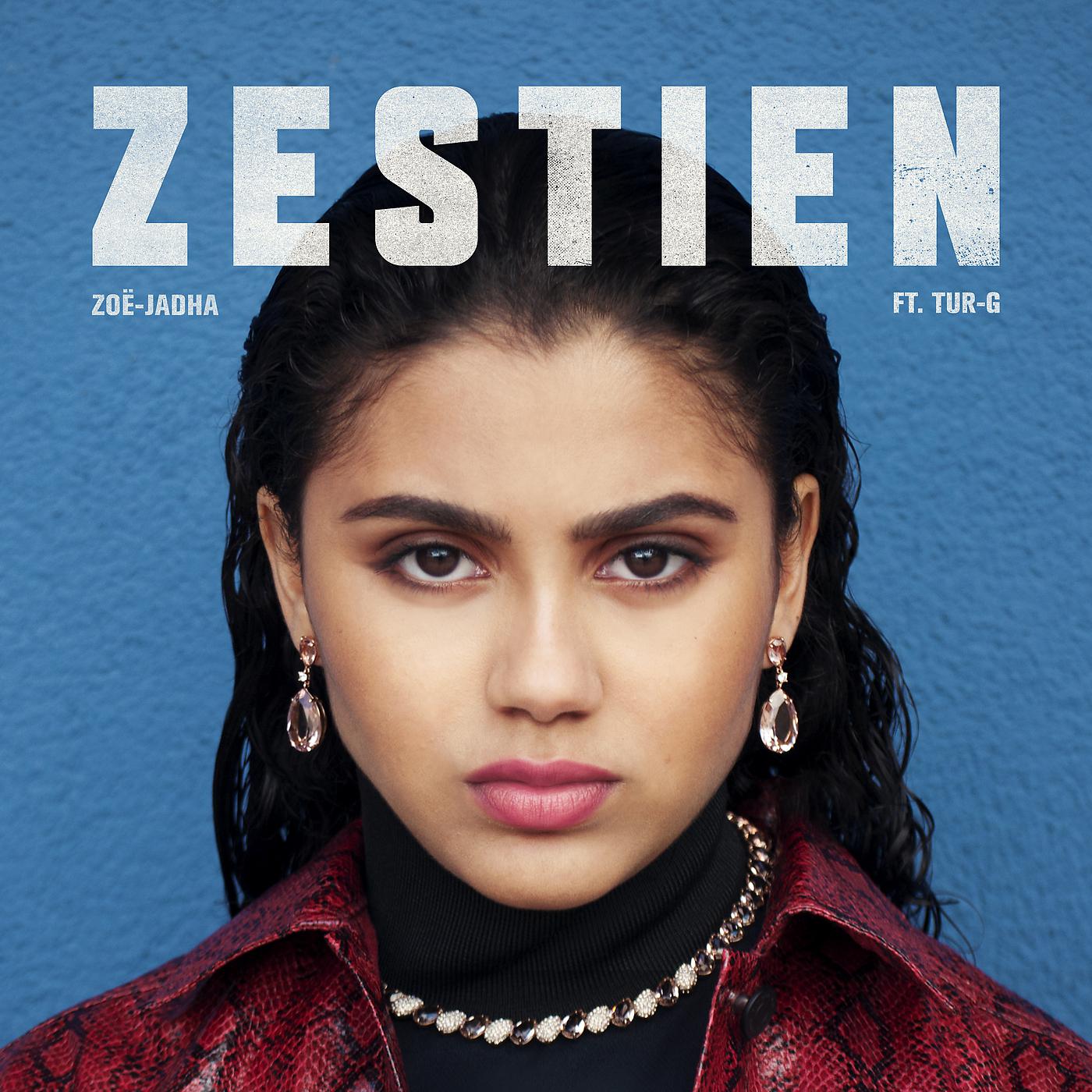Постер альбома Zestien