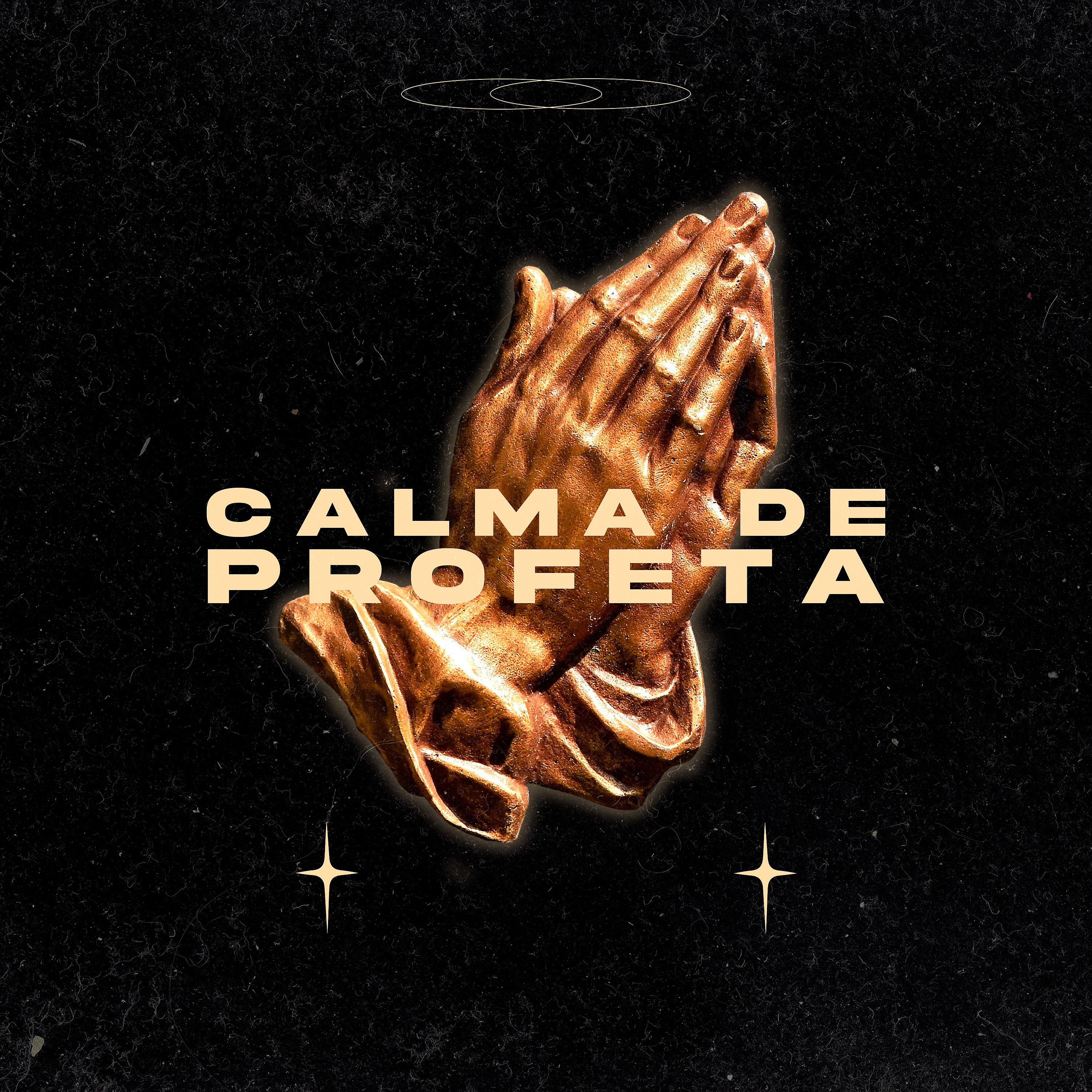 Постер альбома Calma de Profeta
