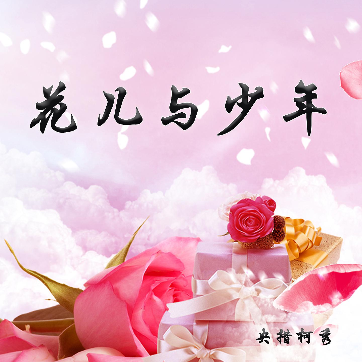 Постер альбома 花儿与少年