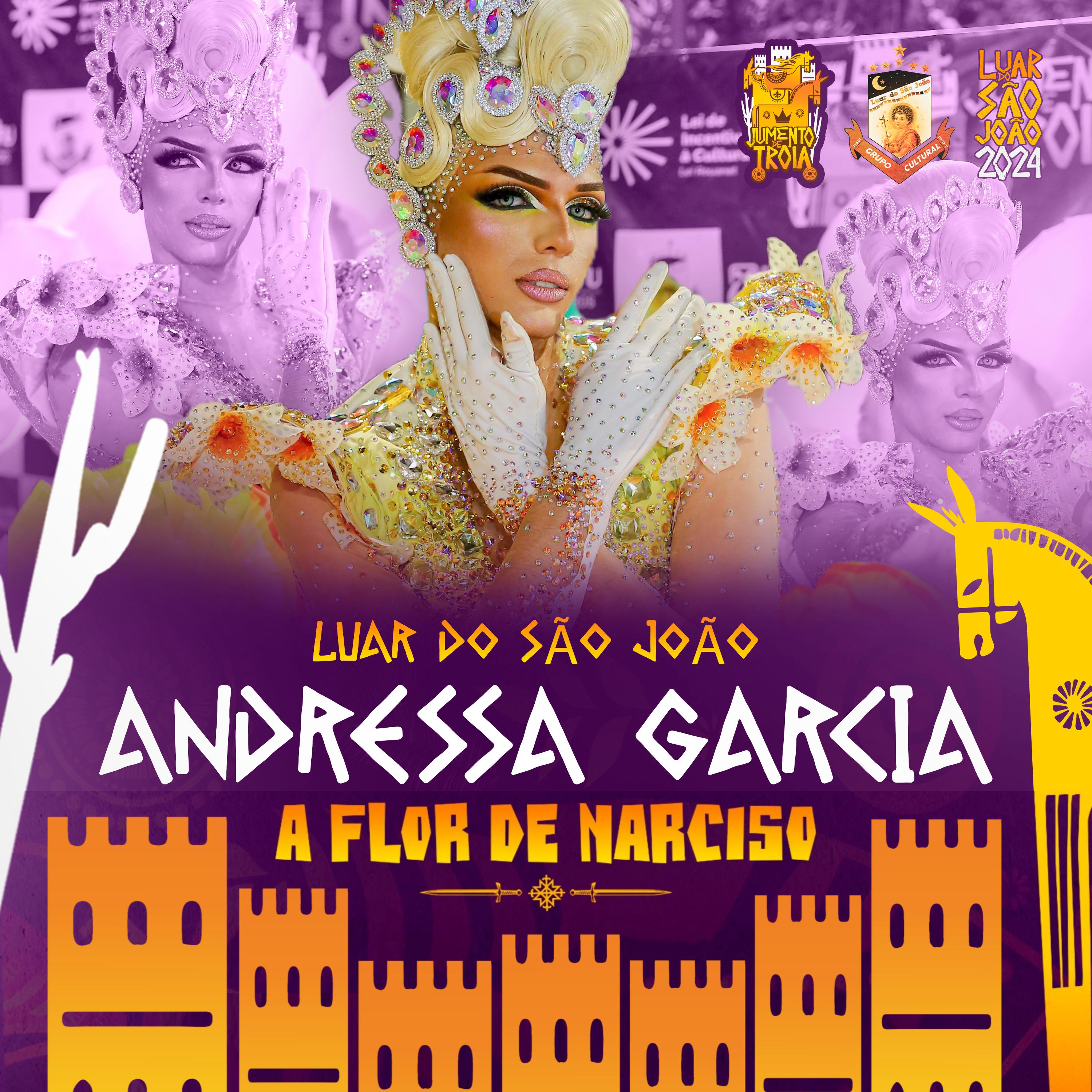 Постер альбома A Flor de Narciso