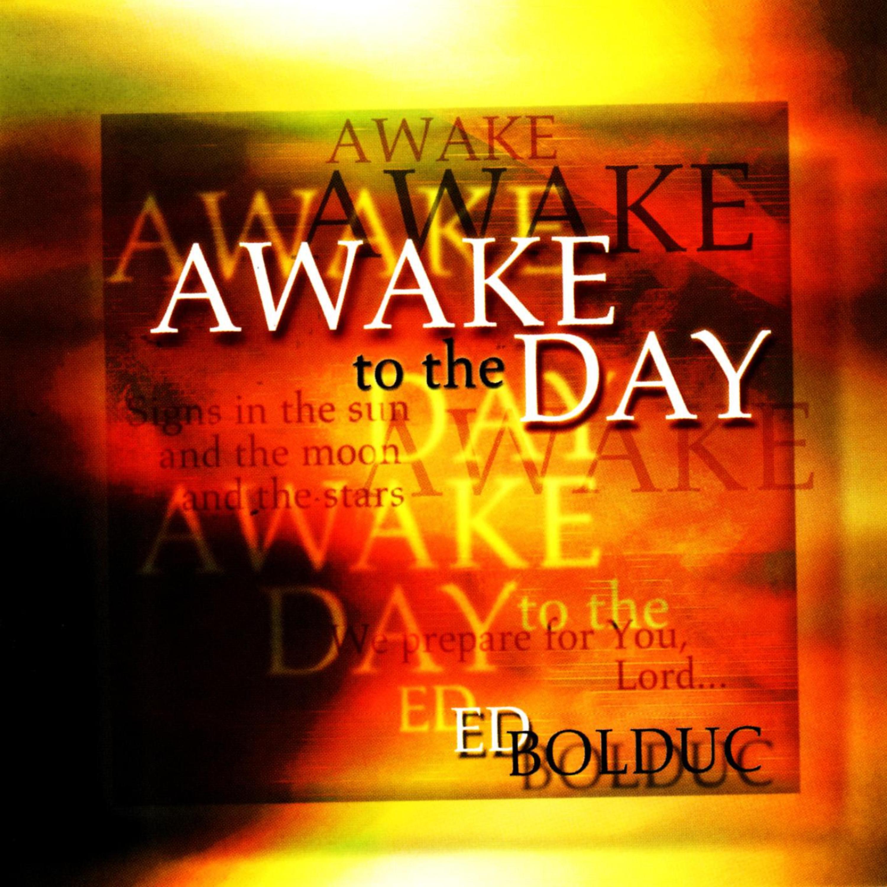 Постер альбома Awake To The Day