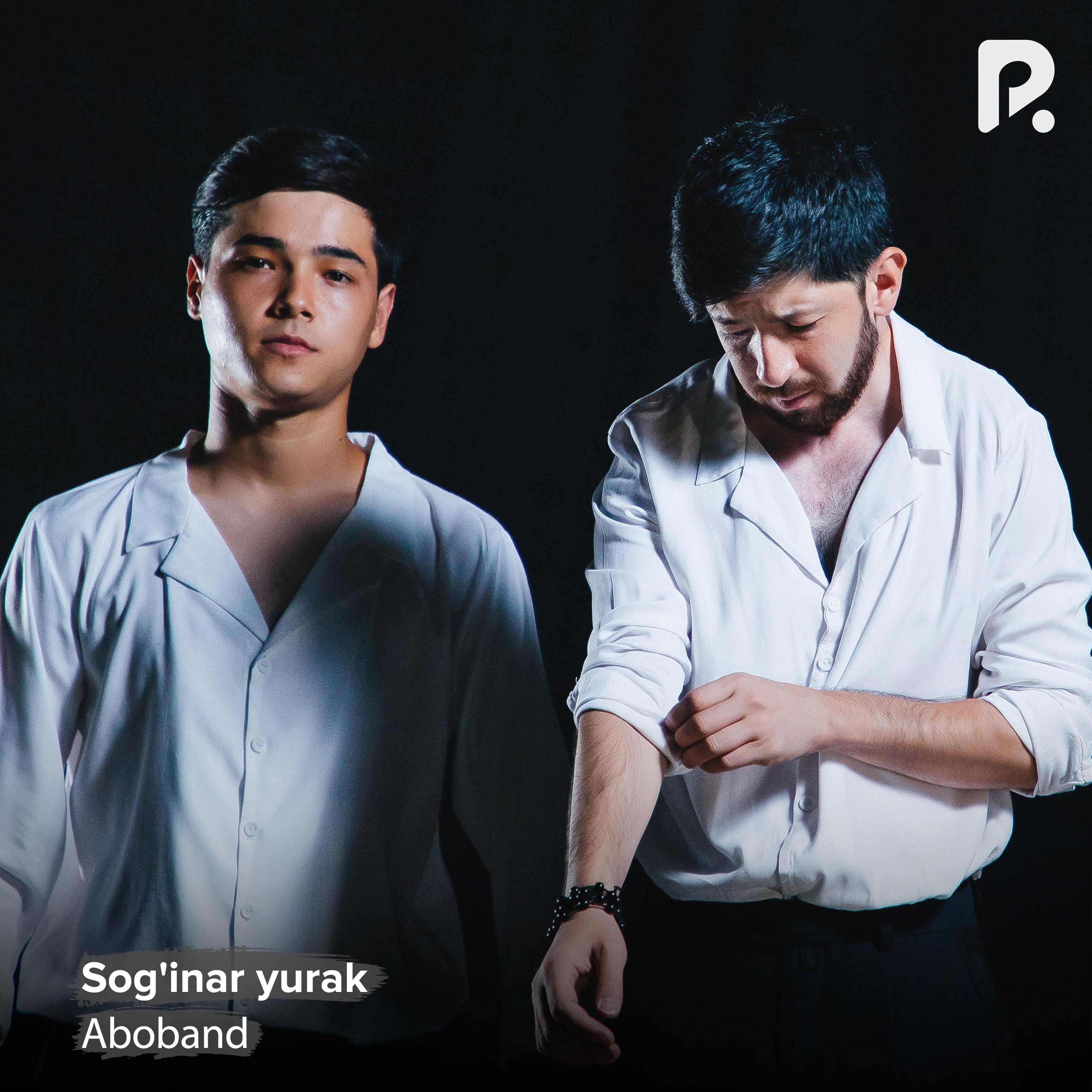 Постер альбома Sog'inar yurak