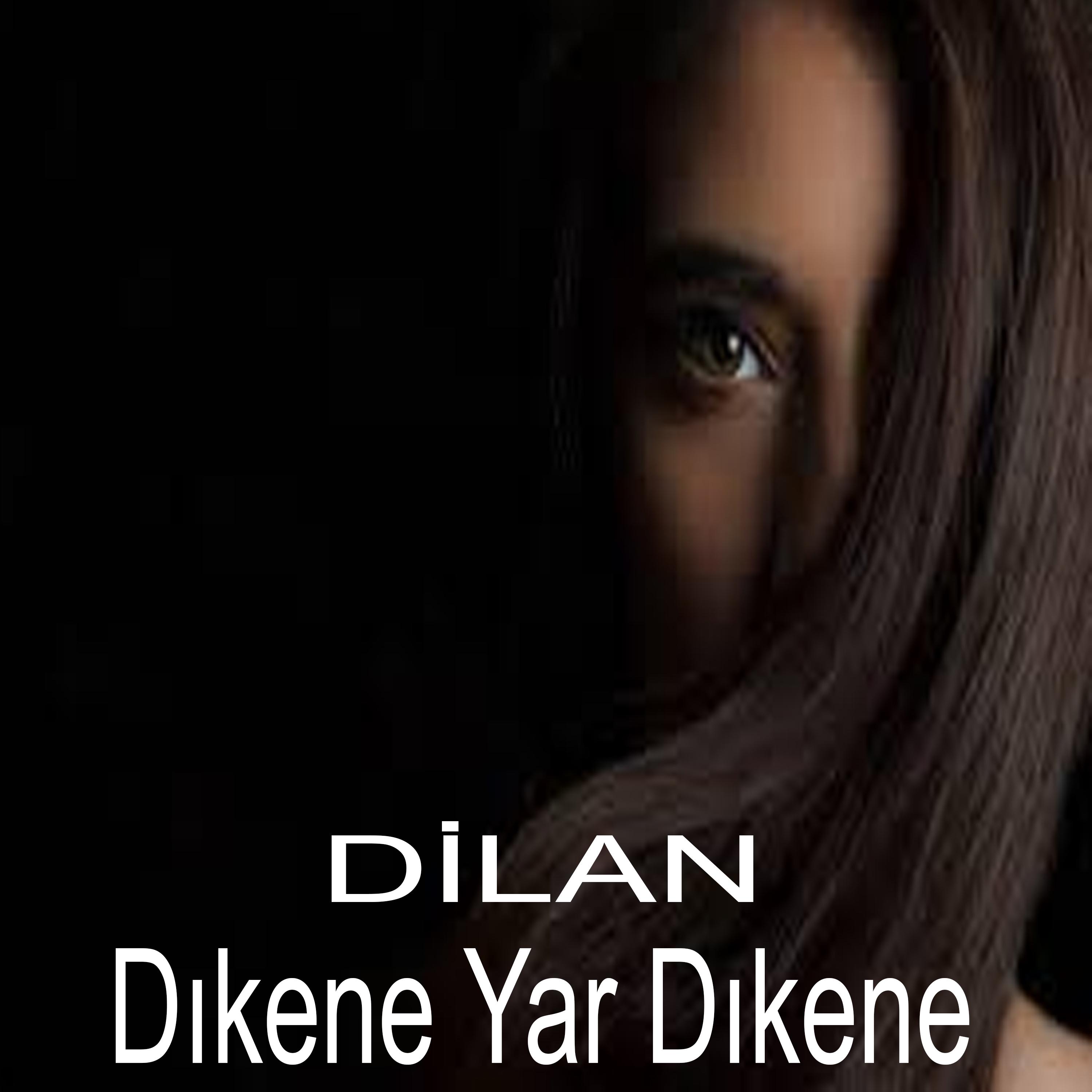 Постер альбома Dıkene Yar Dıkene