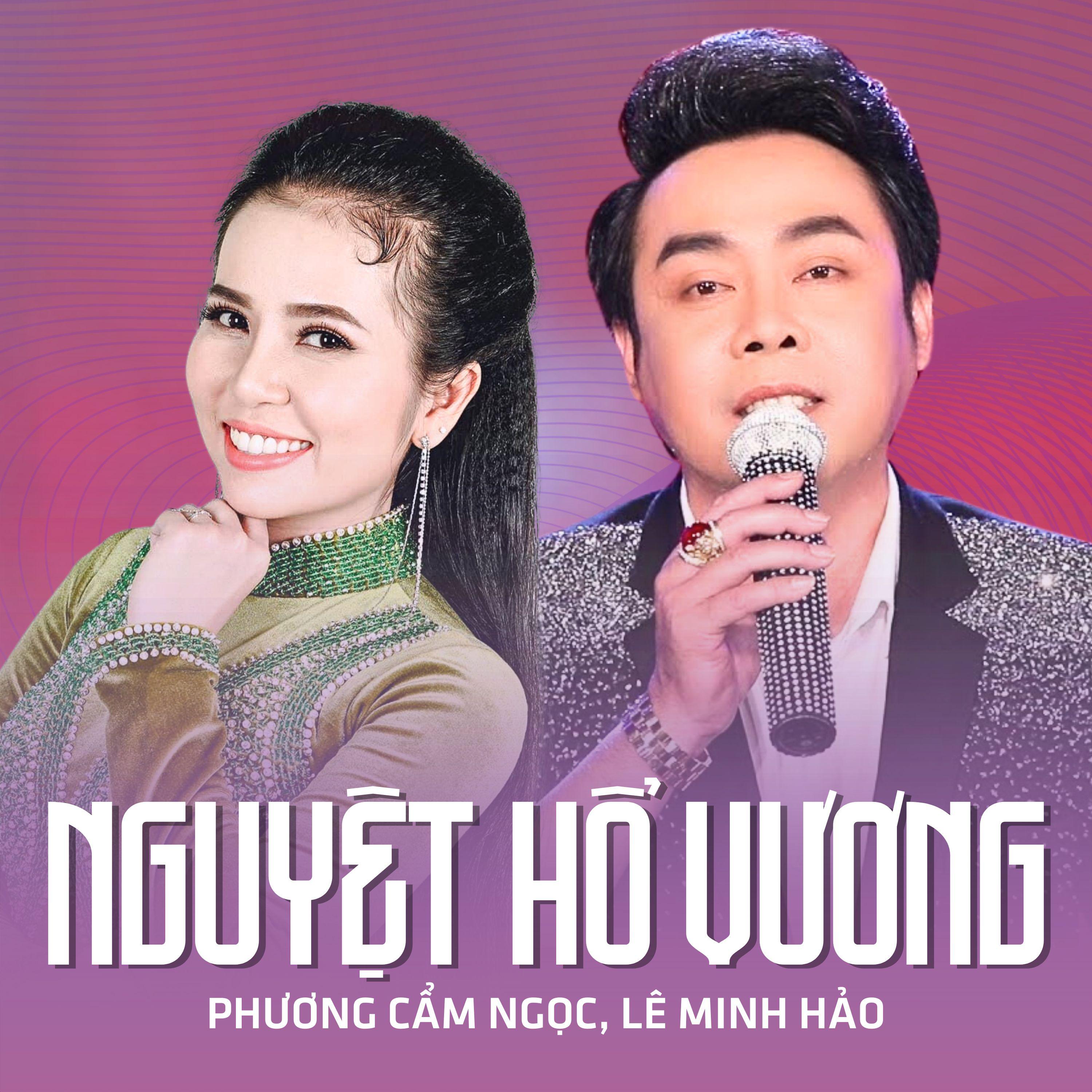 Постер альбома Nguyệt Hổ Vương