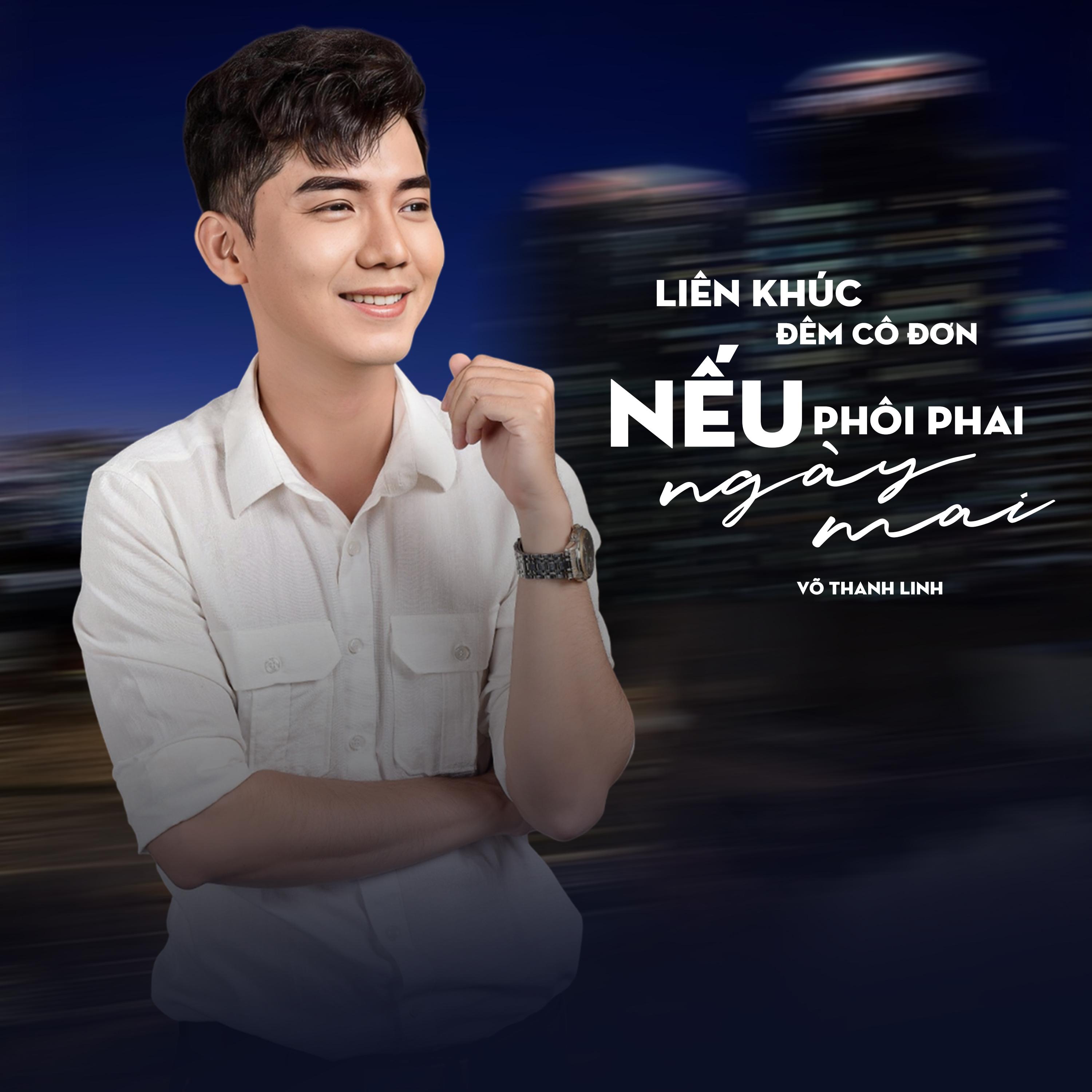 Постер альбома Liên Khúc Đêm Cô Đơn - Nếu Phôi Phai Ngày Mai
