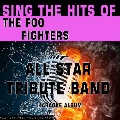 Постер альбома Sing the Hits of The Foo Fighters