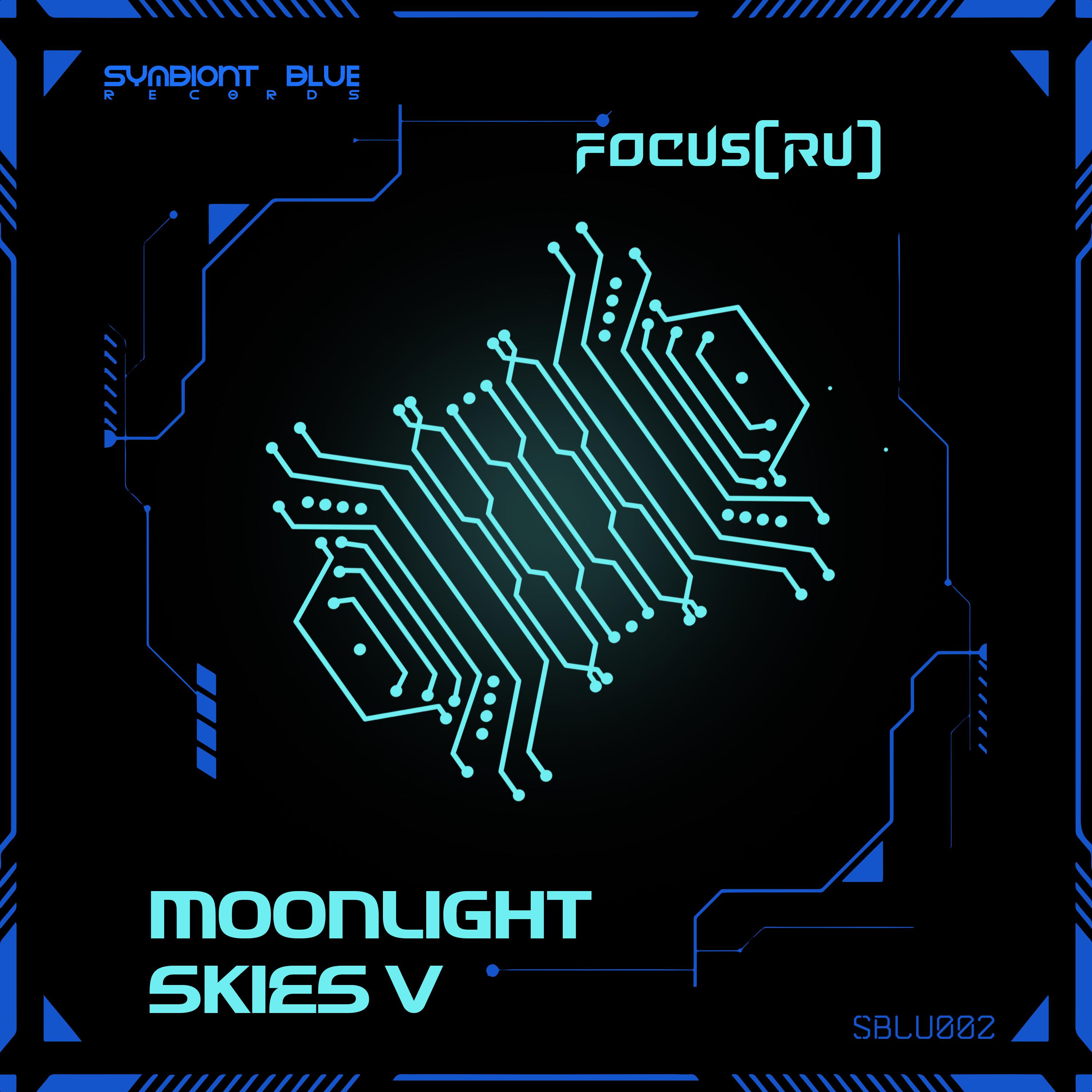 Постер альбома Moonlight Skies V (Original Mix)