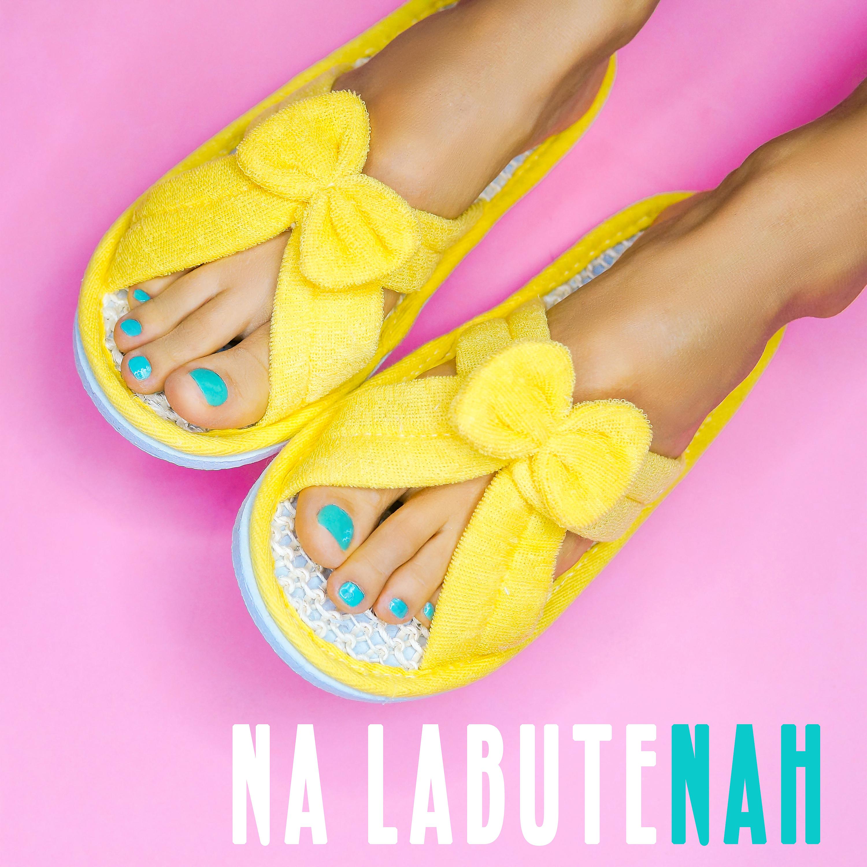 Постер альбома Na Labutenah