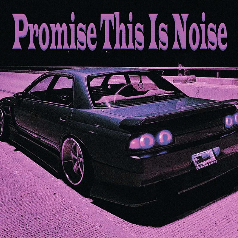 Постер альбома Promise the Noise