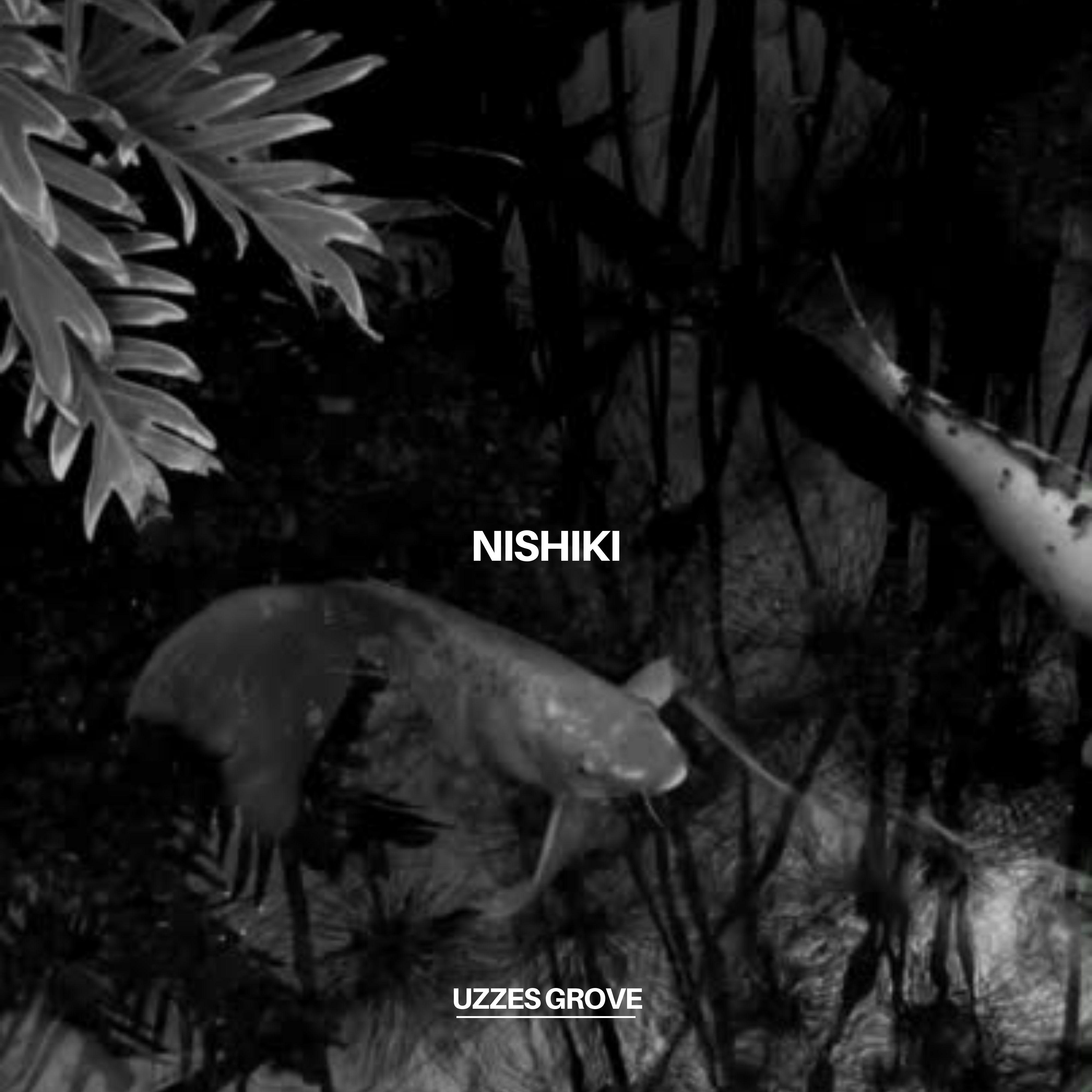 Постер альбома Nishiki