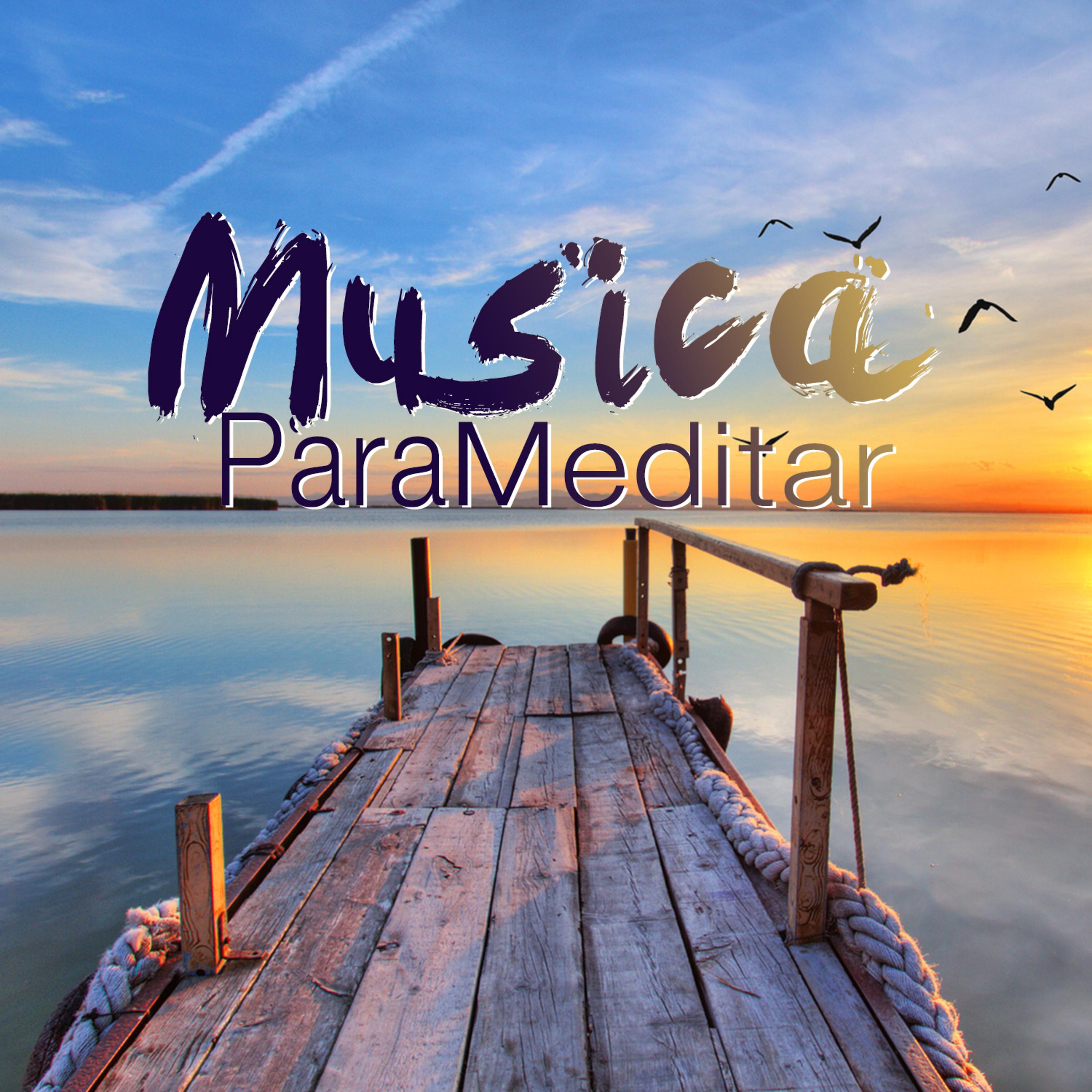 Постер альбома Musica Para Meditar