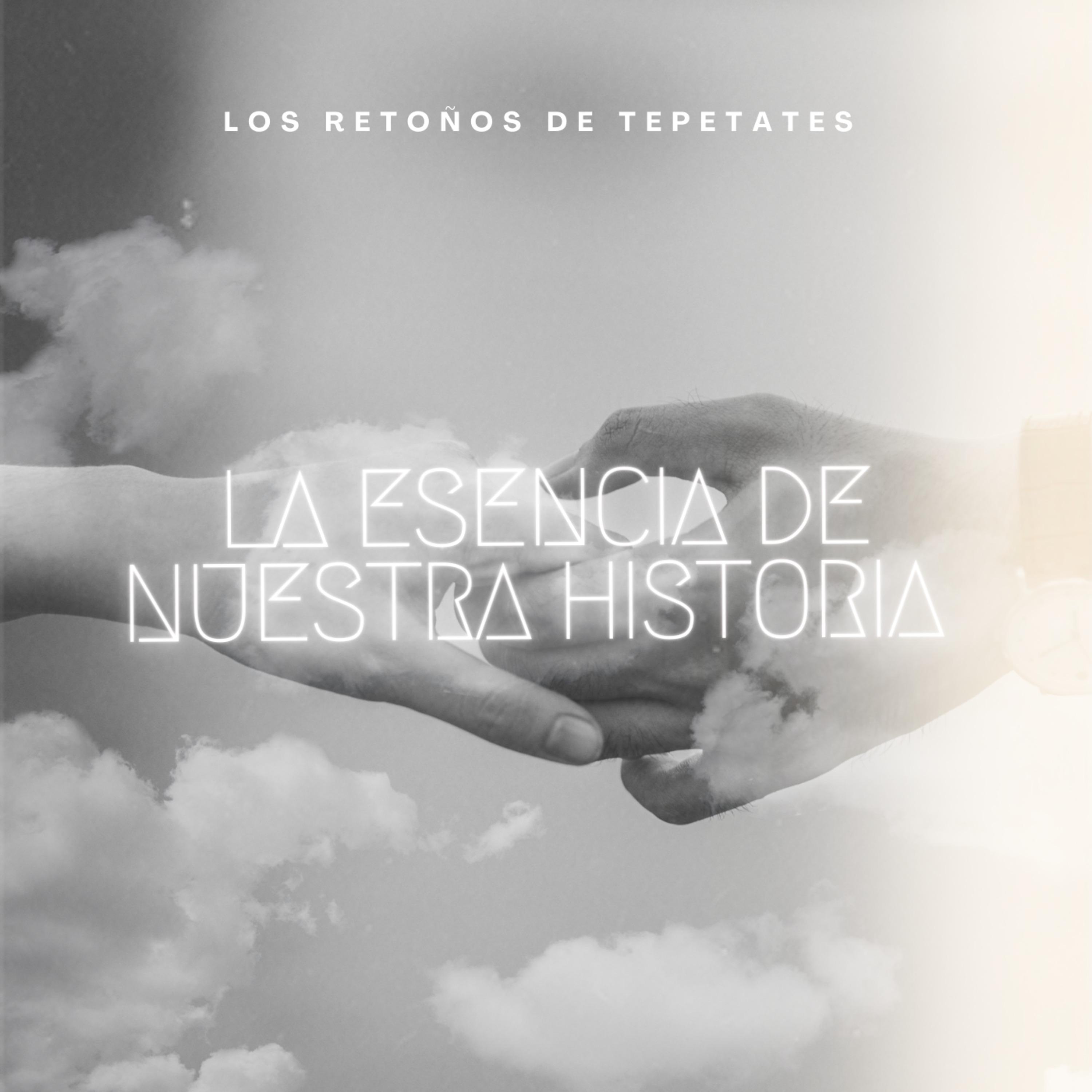 Постер альбома La Esencia de Nuestra Historia