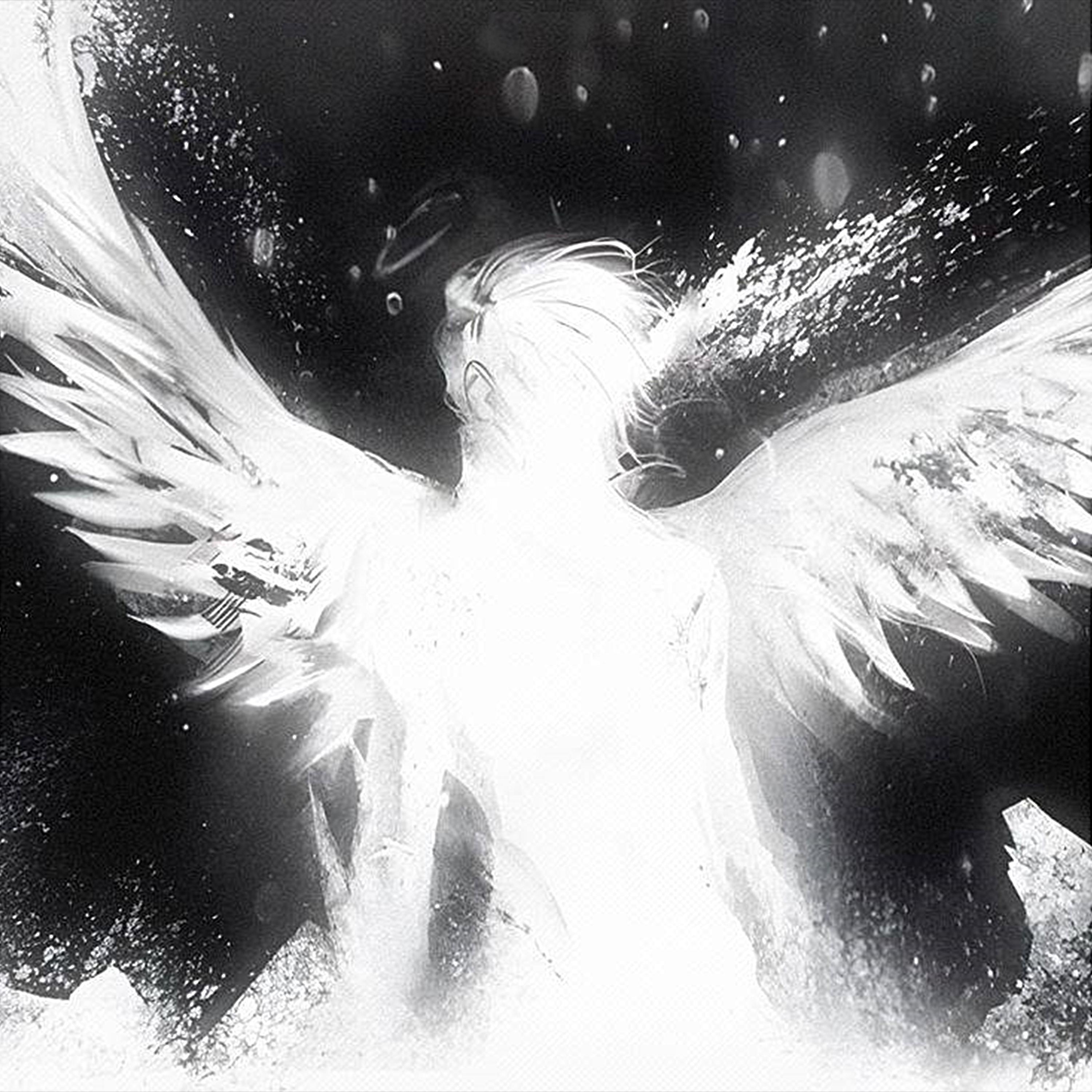 Постер альбома SLIGHTED ANGEL