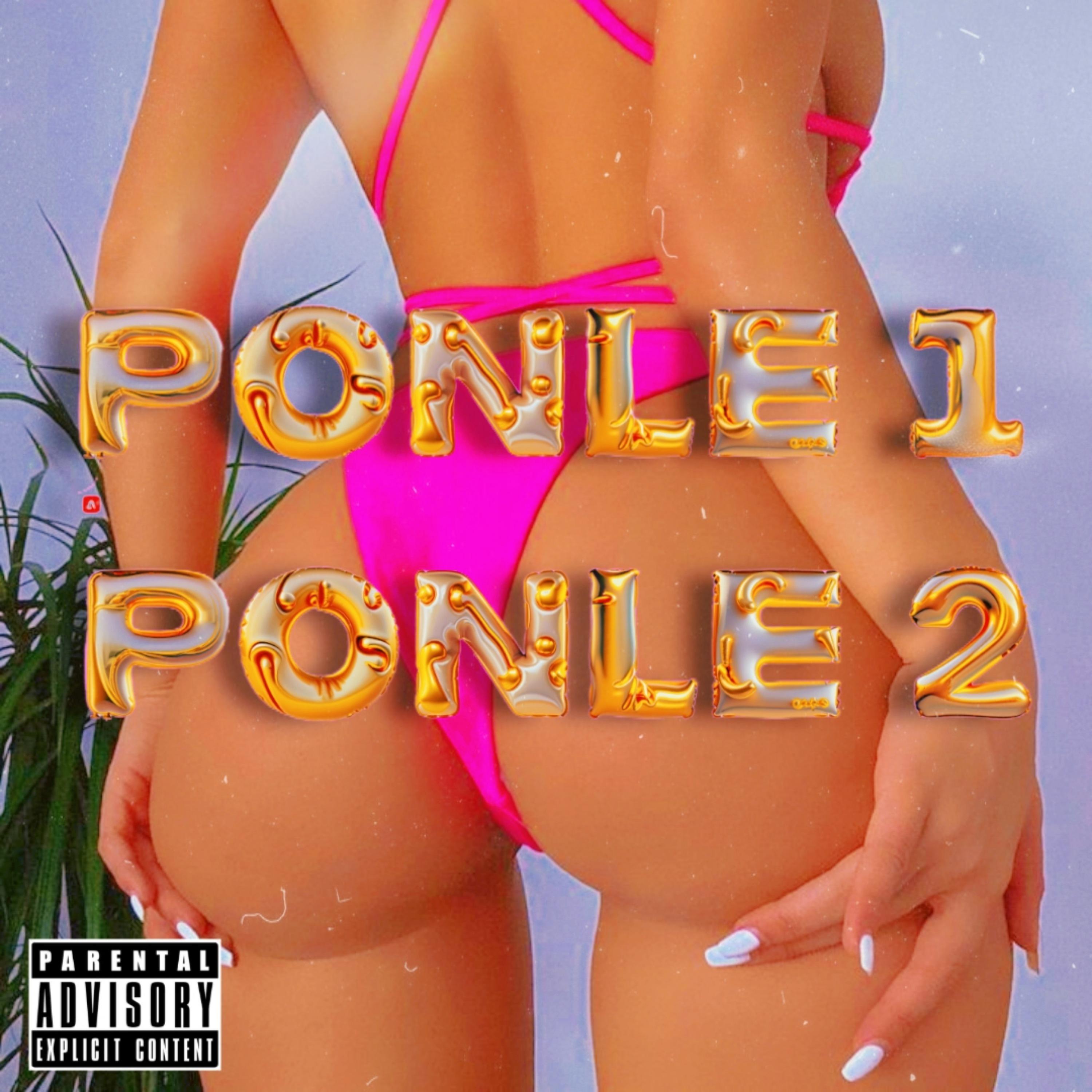 Постер альбома Ponle 1 Ponle 2