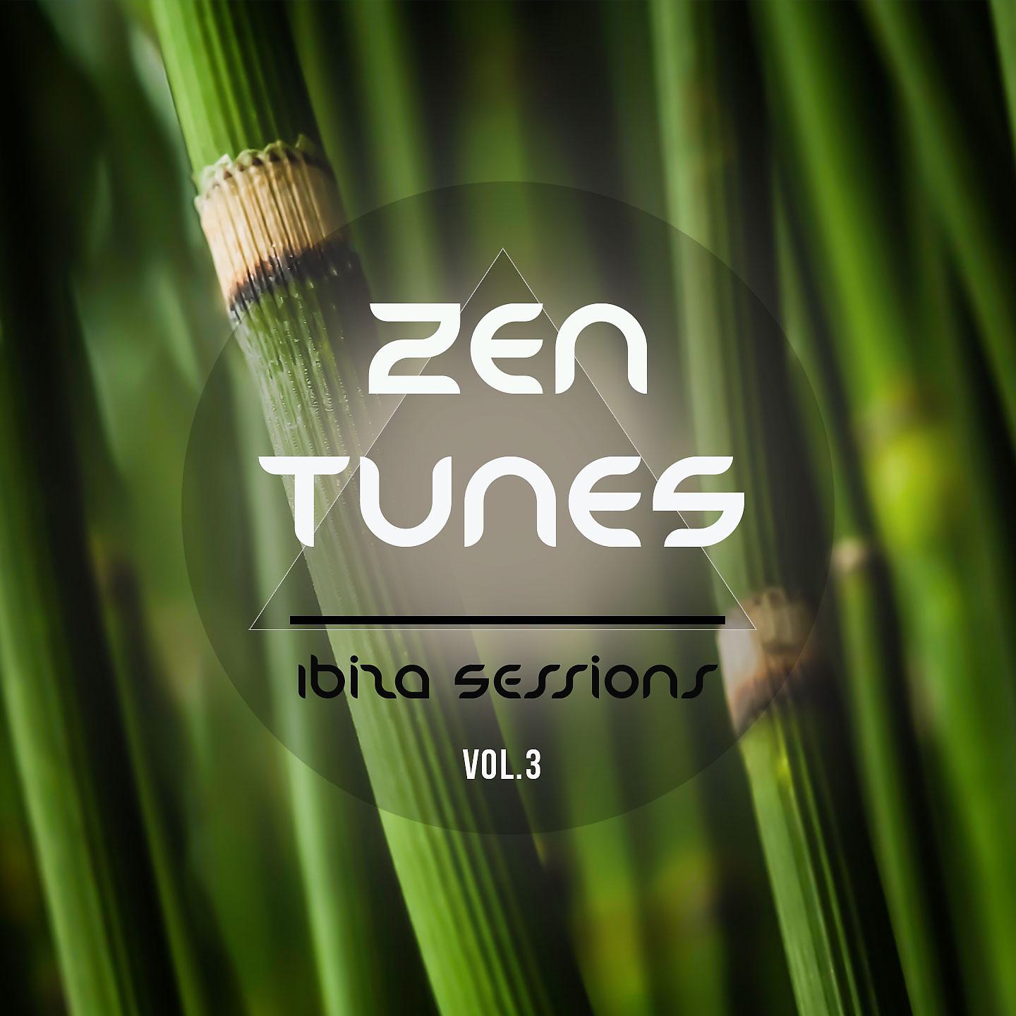 Постер альбома Zen Tunes - Ibiza Sessions, Vol. 3