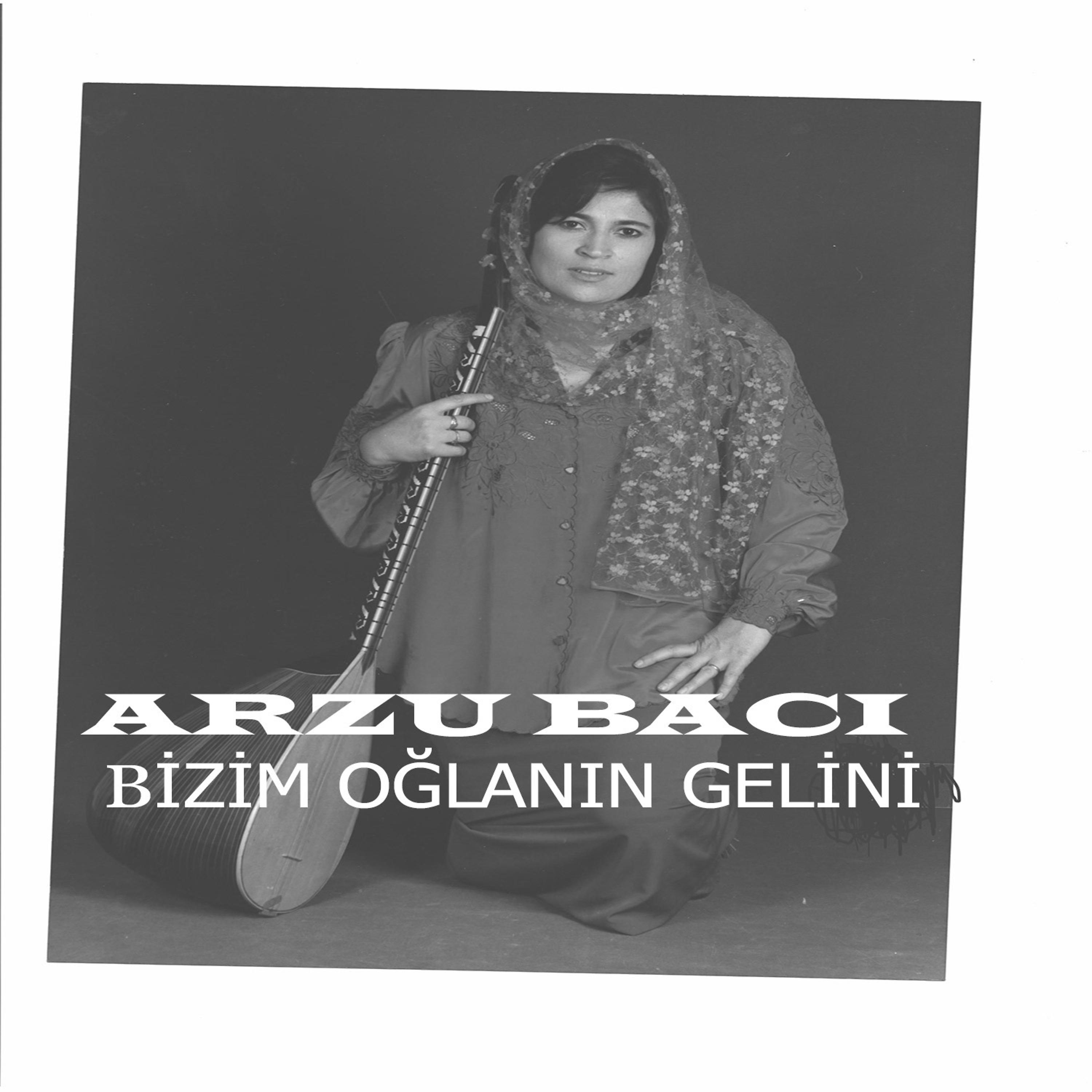Постер альбома Bizim Oğlanın Gelini