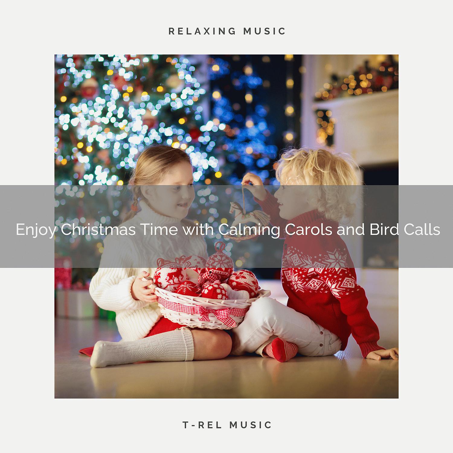 Постер альбома Enjoy Christmas Time with Calming Carols and Bird Calls