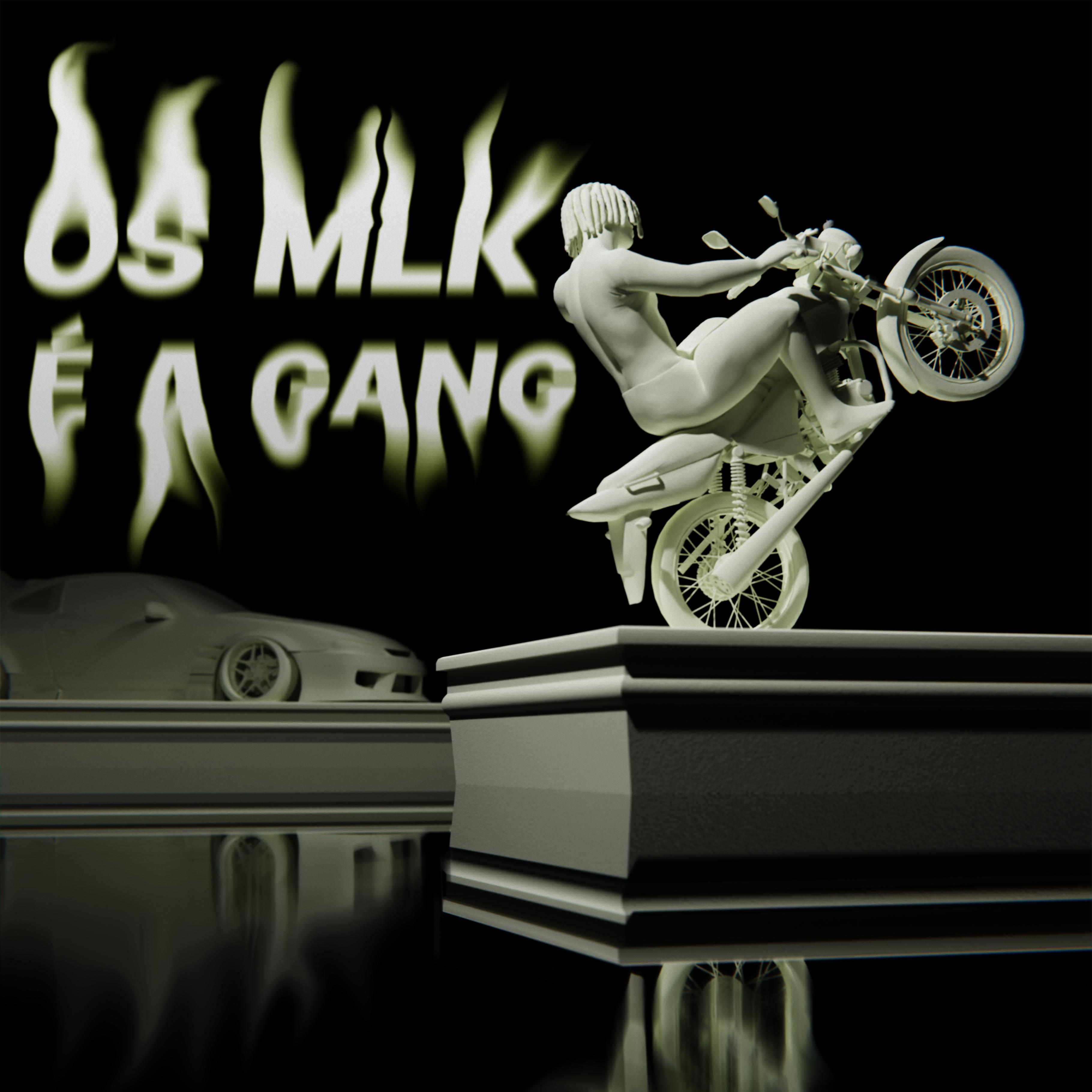 Постер альбома É a Gang