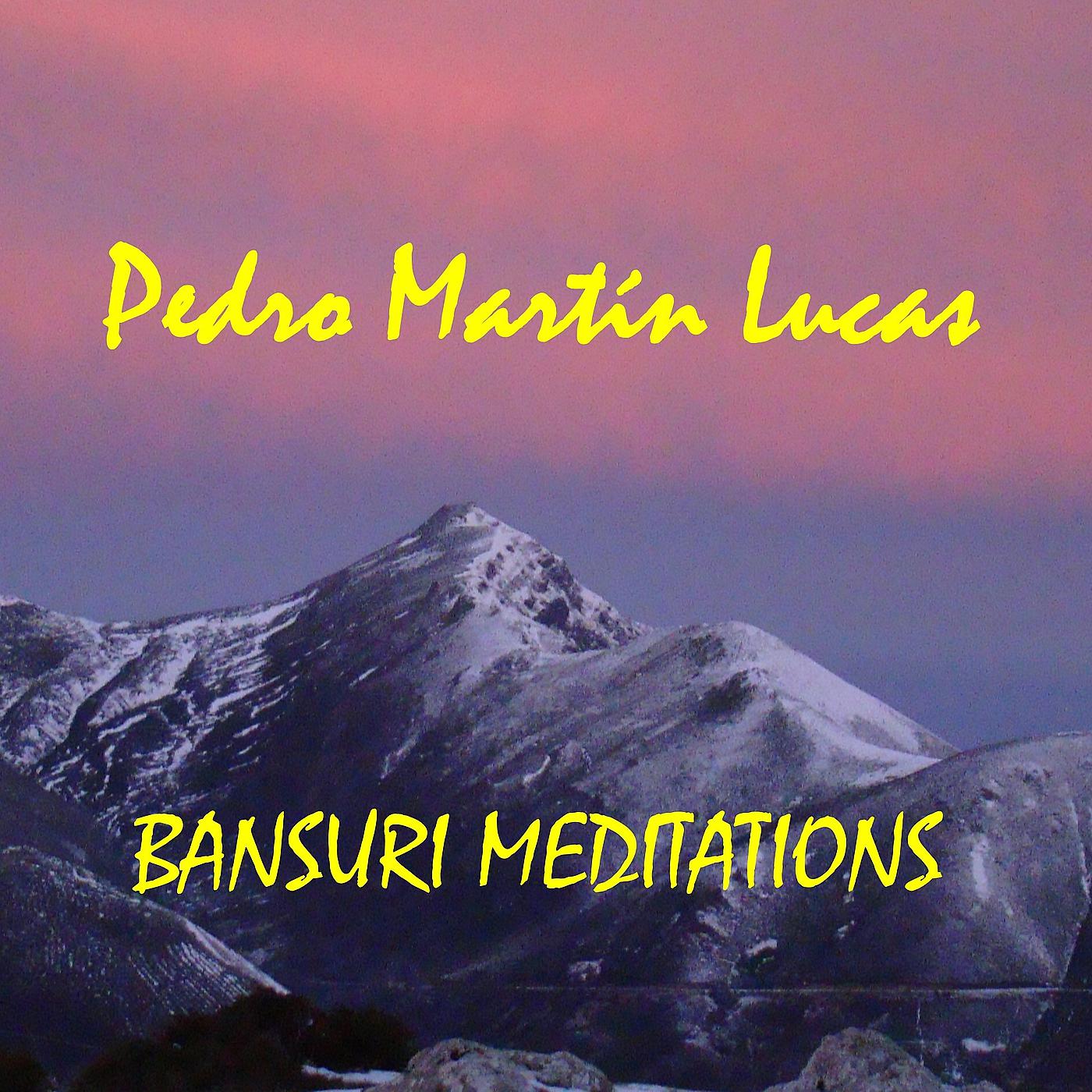 Постер альбома Bansuri Meditations