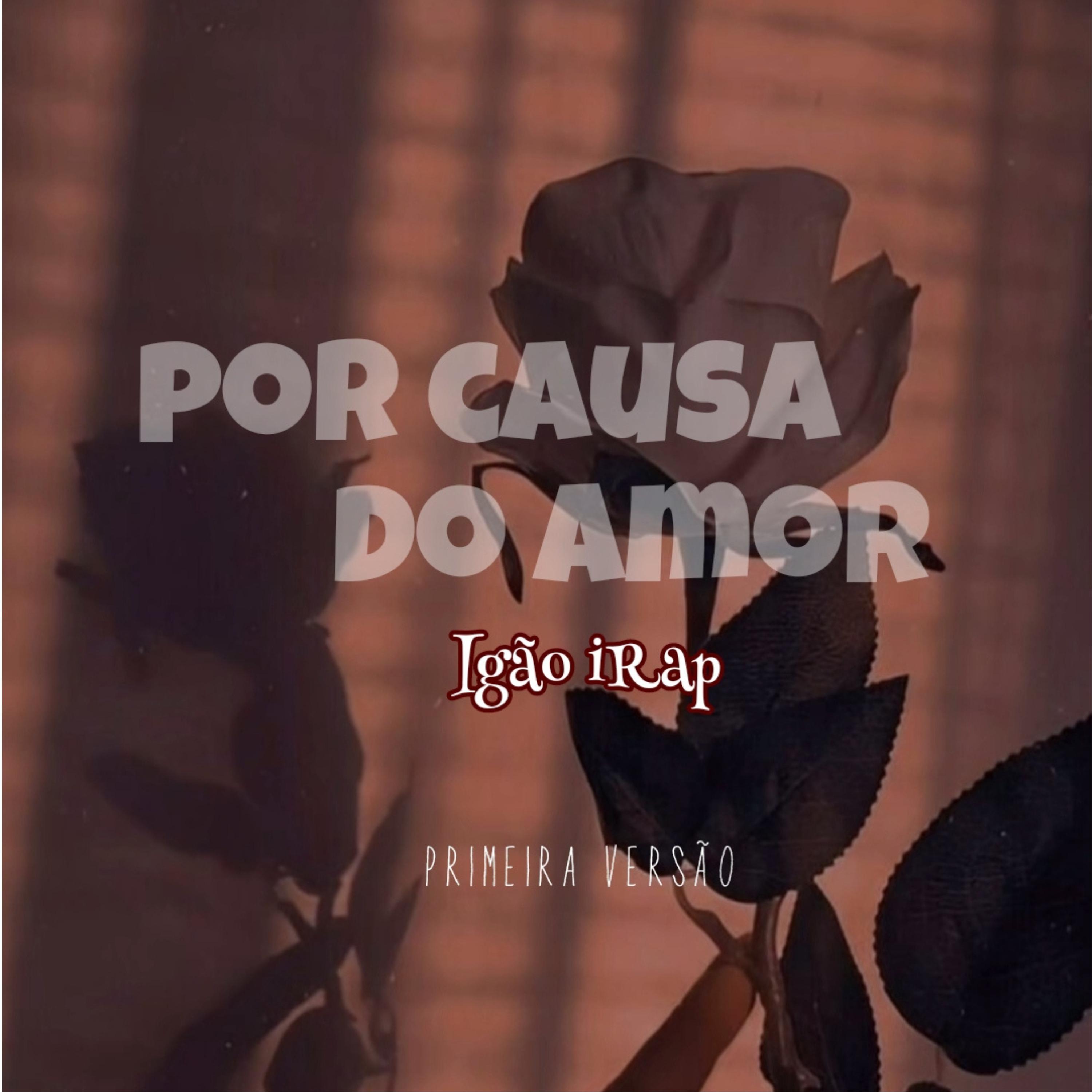 Постер альбома Por Causa do Amor (Primeira Versão)