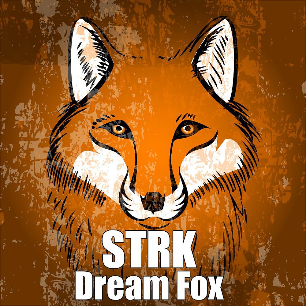 Постер альбома Dream Fox