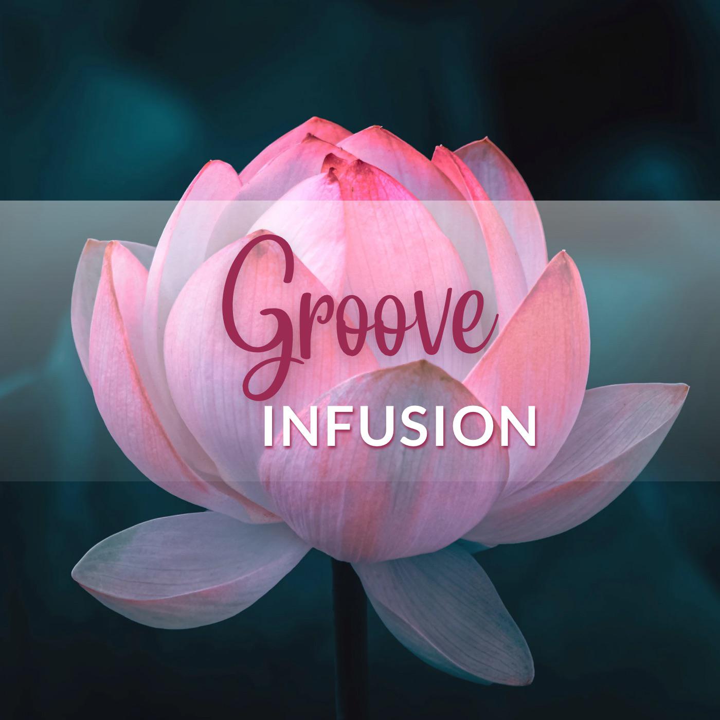 Постер альбома Groove infusion