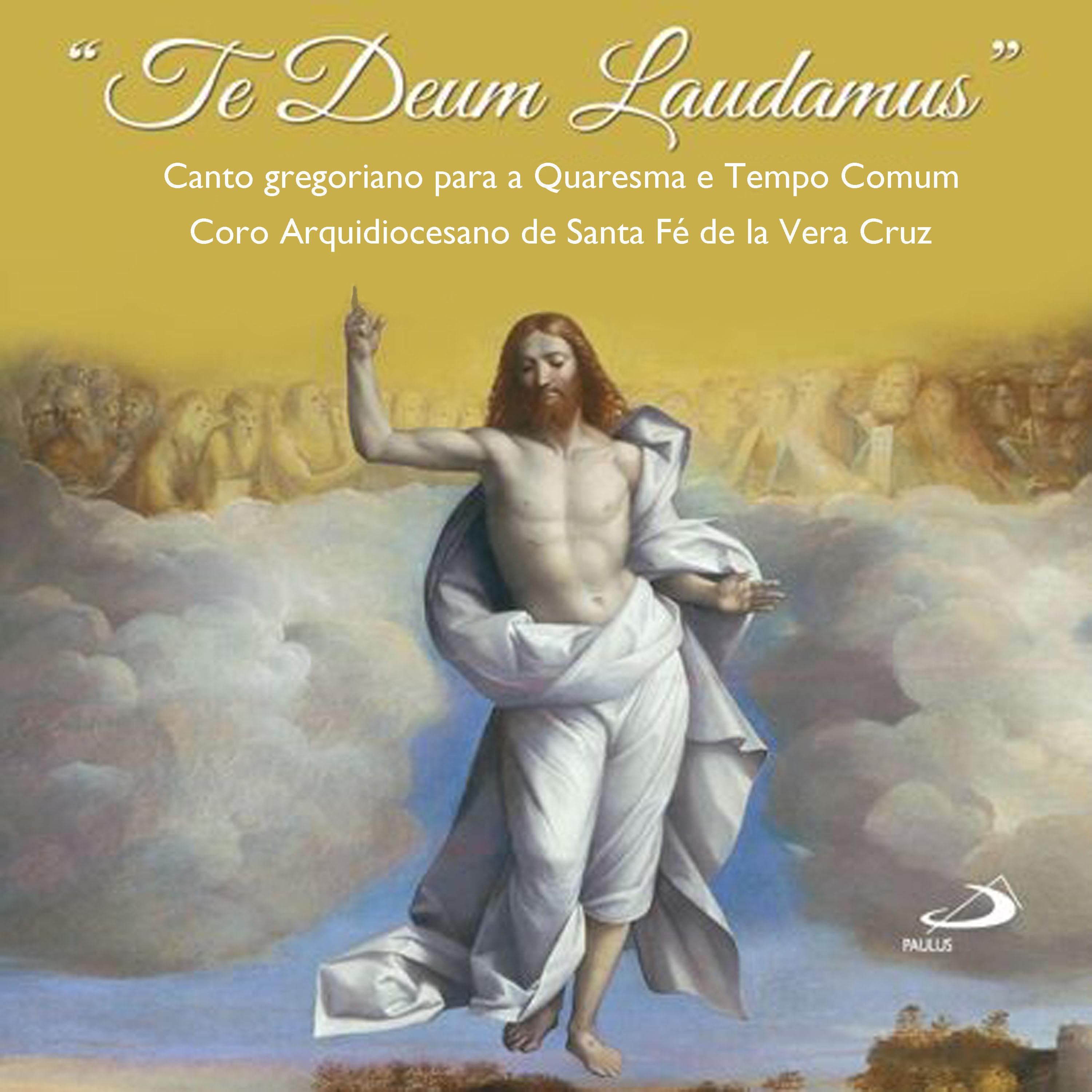 Постер альбома Te Deum Laudamus
